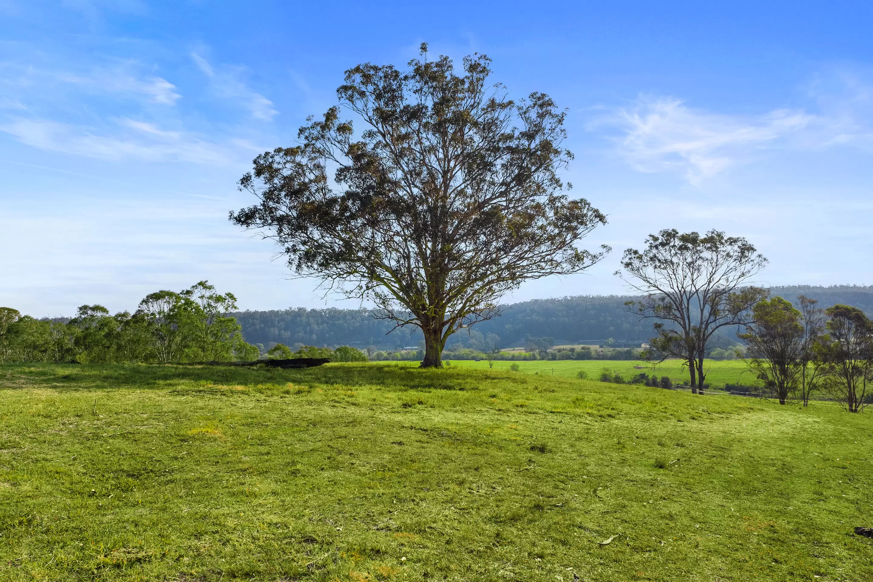 1500 Greendale Road, Wallacia For Sale by Cutcliffe Properties - image 3