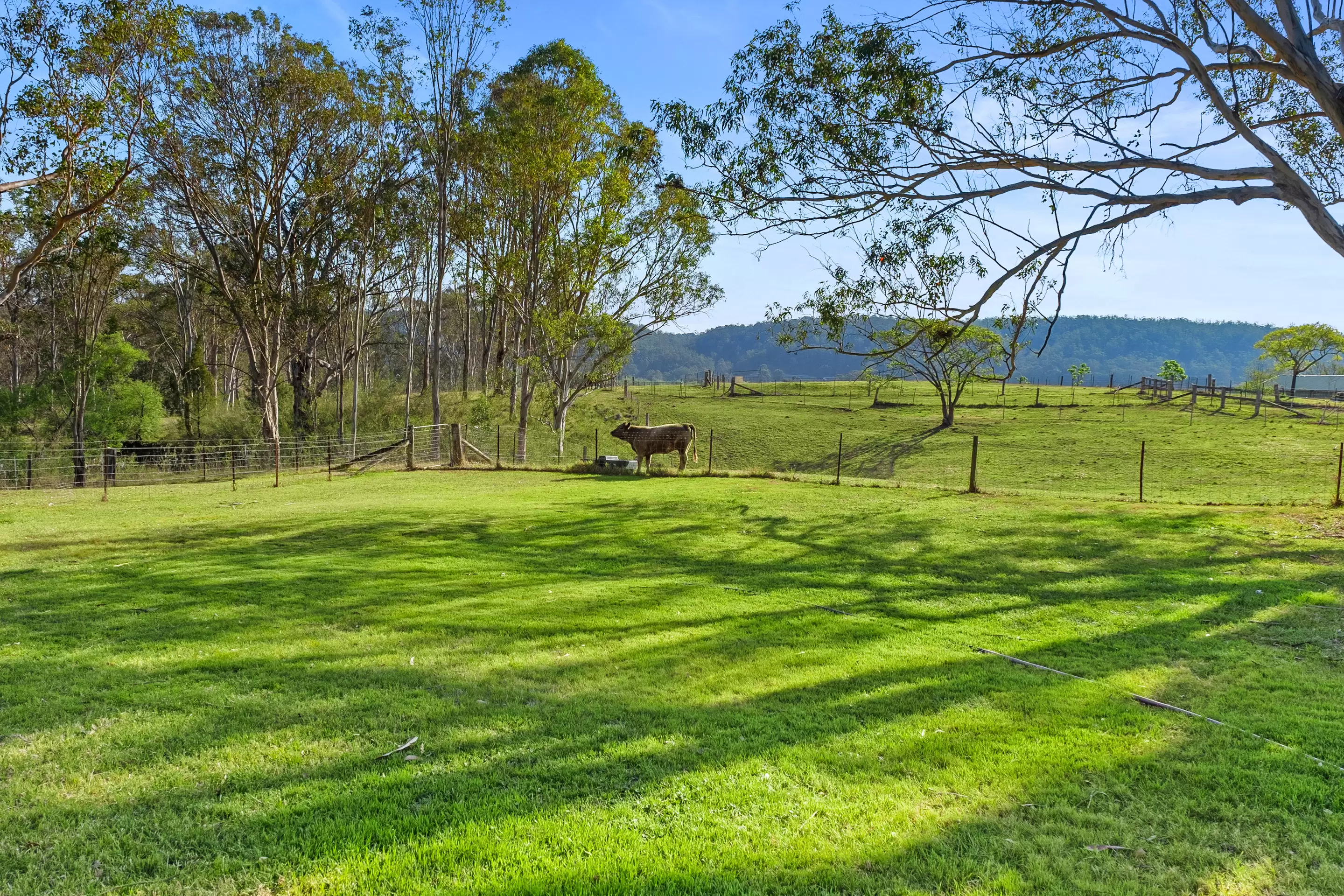 1500 Greendale Road, Wallacia For Sale by Cutcliffe Properties - image 4