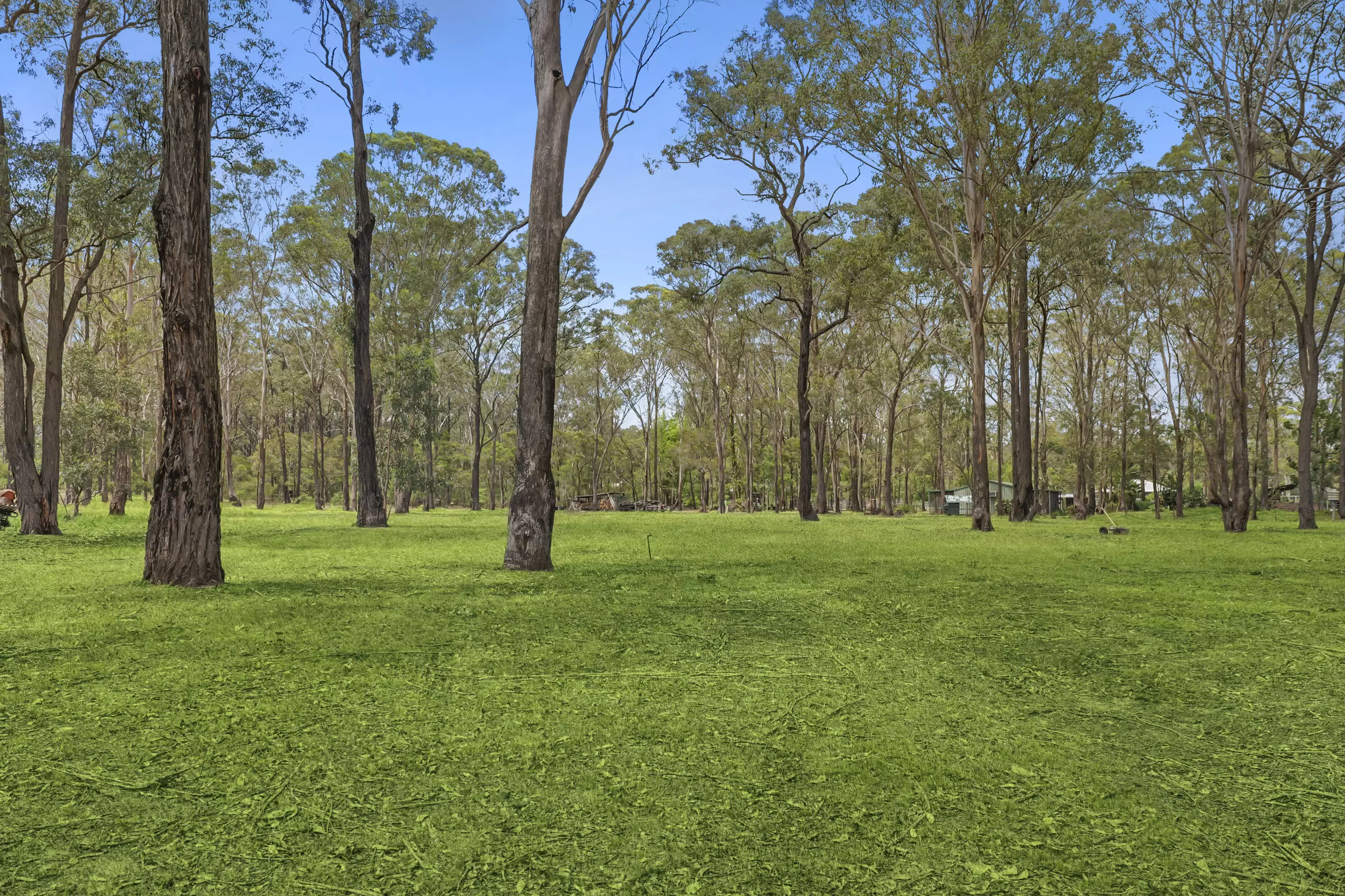 28 Pitt Town Dural Road, Pitt Town Sold by Cutcliffe Properties - image 8