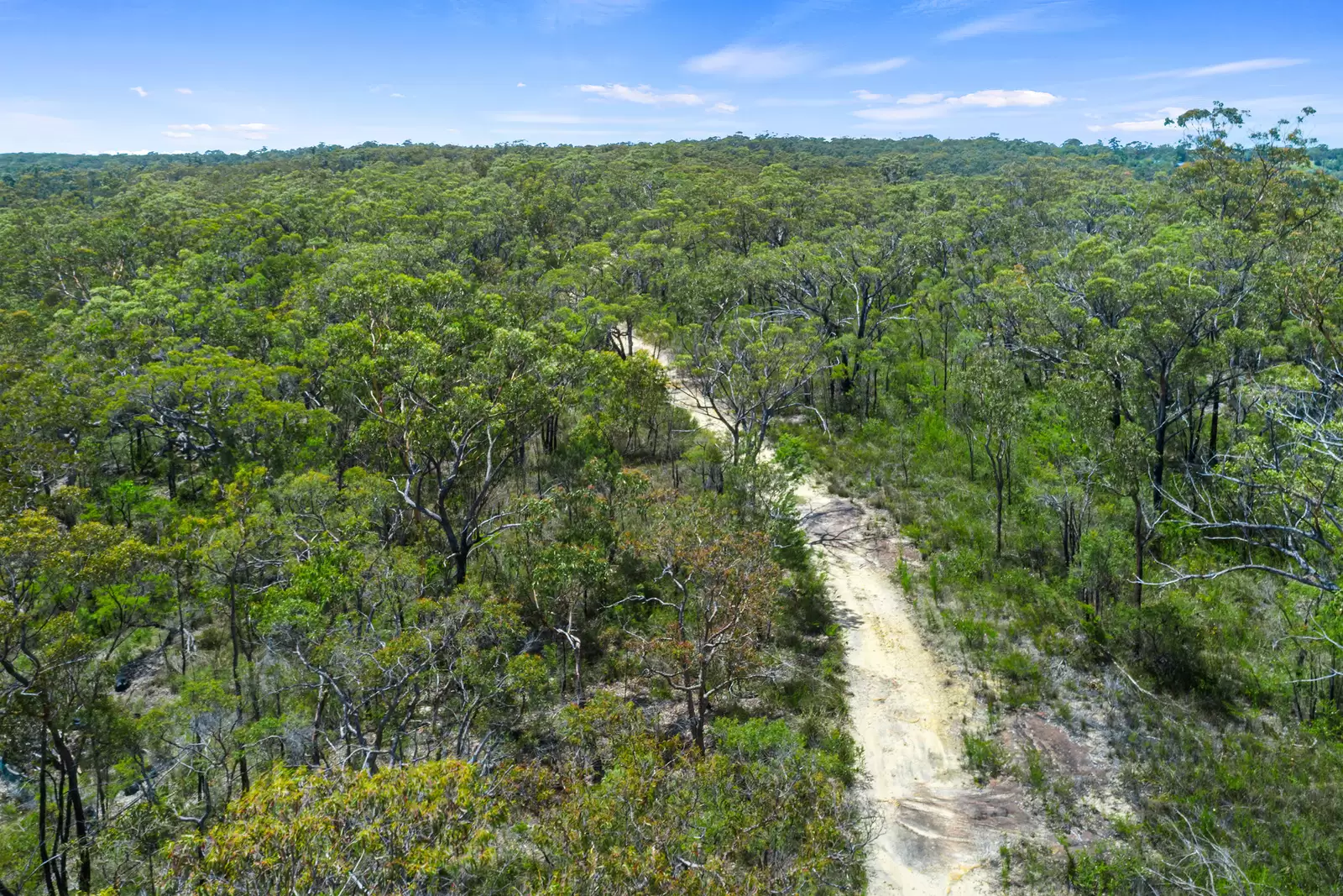 3472 Old Northern Road, Glenorie For Sale by Cutcliffe Properties - image 8