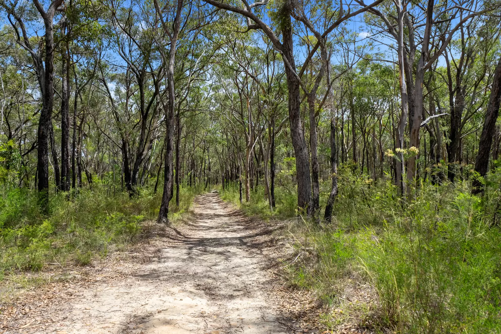 3472 Old Northern Road, Glenorie For Sale by Cutcliffe Properties - image 6