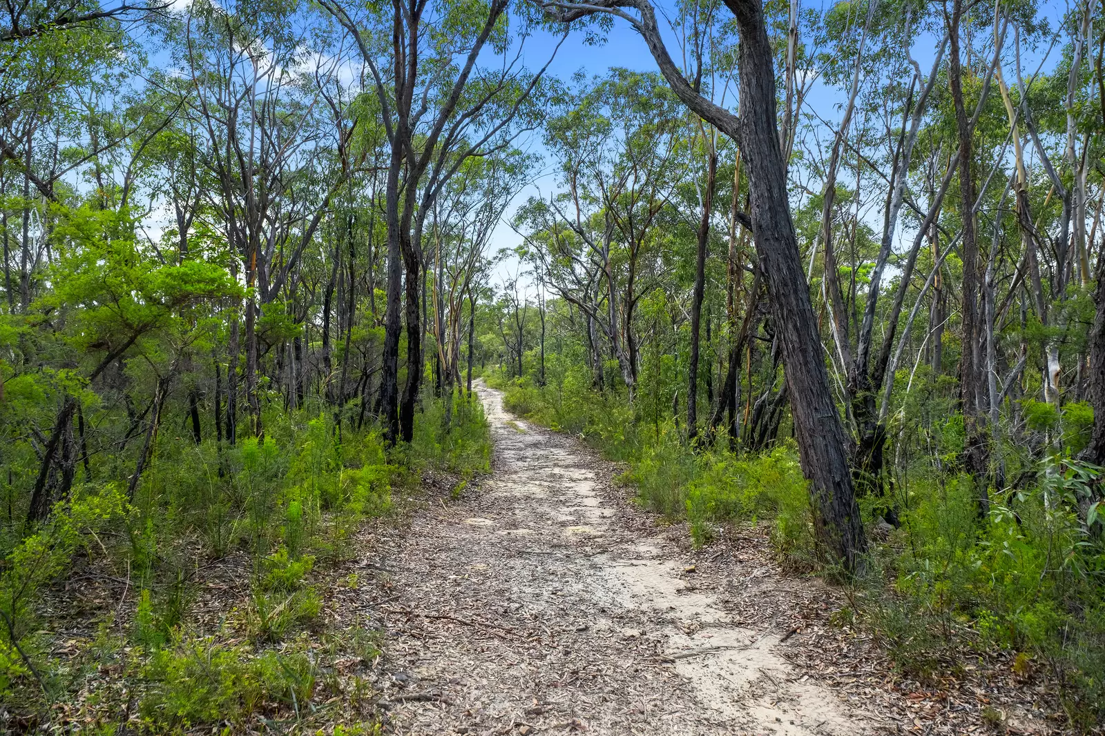 3472 Old Northern Road, Glenorie For Sale by Cutcliffe Properties - image 7