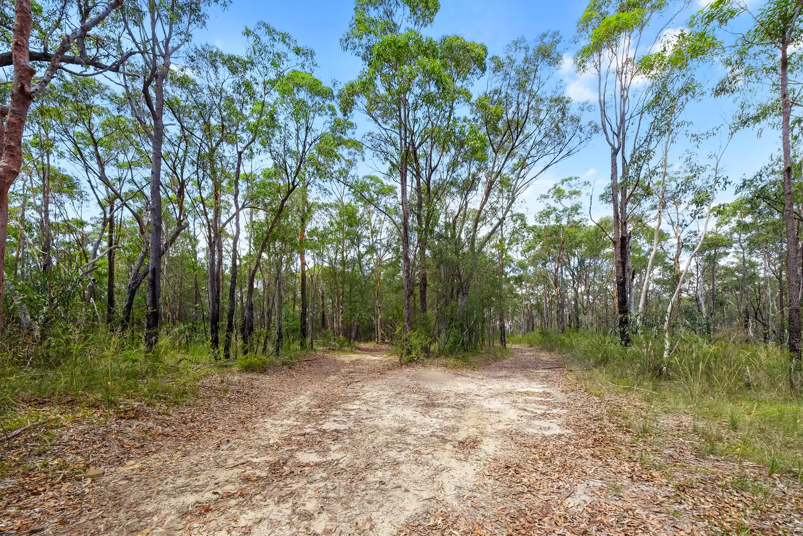 3472 Old Northern Road, Glenorie For Sale by Cutcliffe Properties - image 5