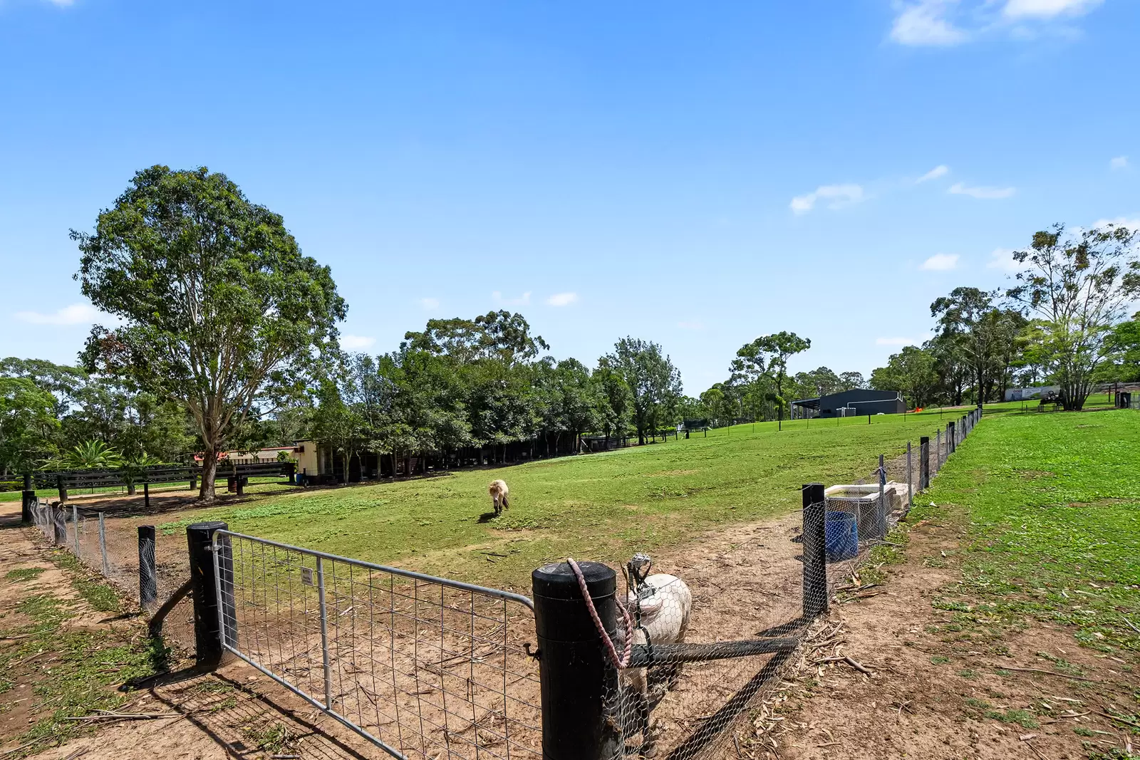 33 Scheyville Road, Oakville Sold by Cutcliffe Properties - image 8