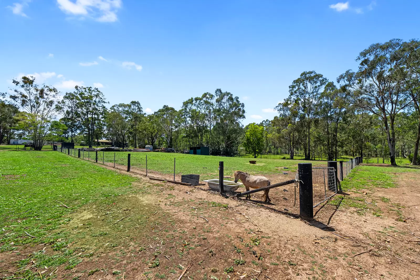 33 Scheyville Road, Oakville Sold by Cutcliffe Properties - image 9