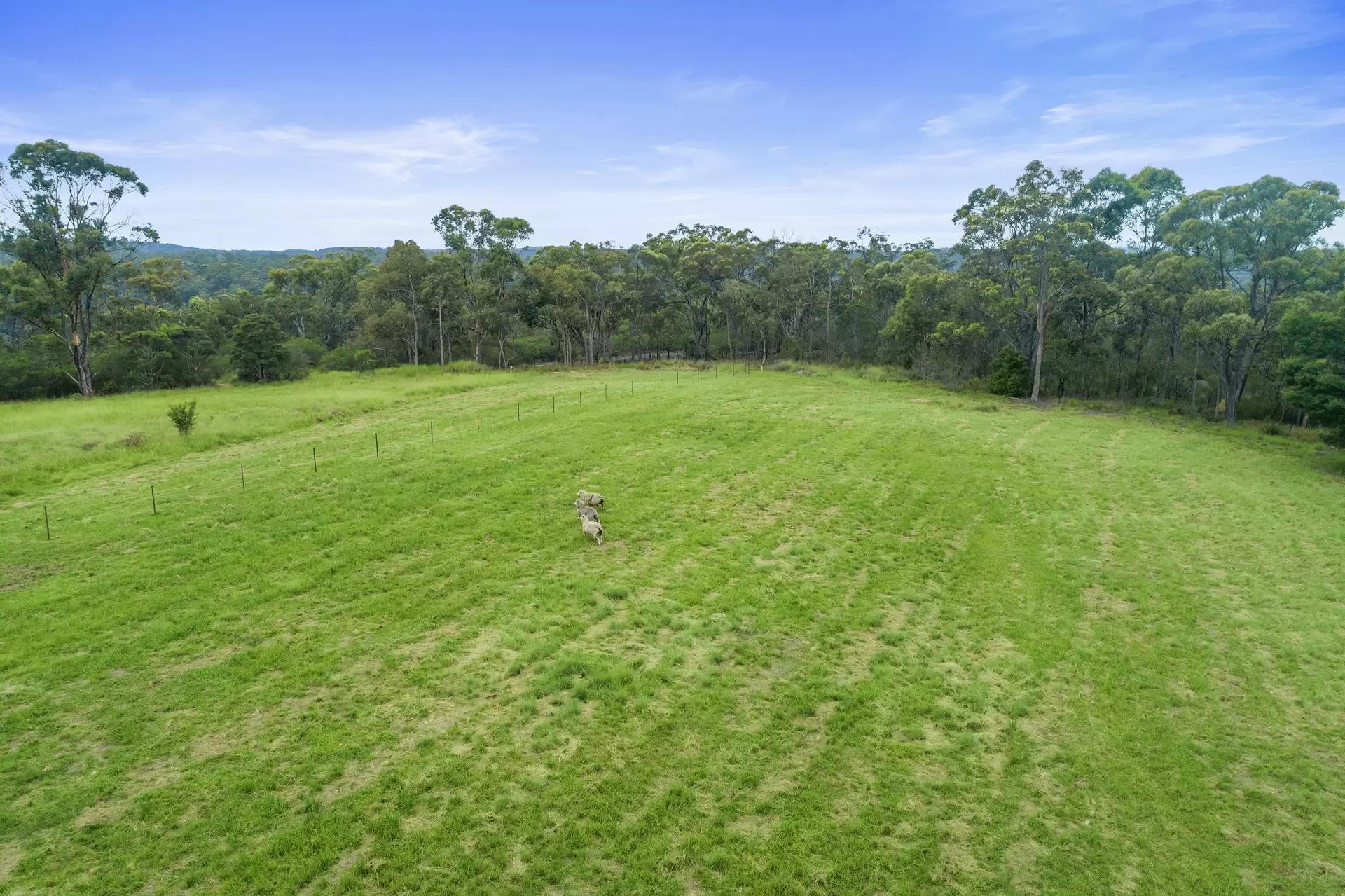 156 Paulls Road, South Maroota Sold by Cutcliffe Properties - image 1