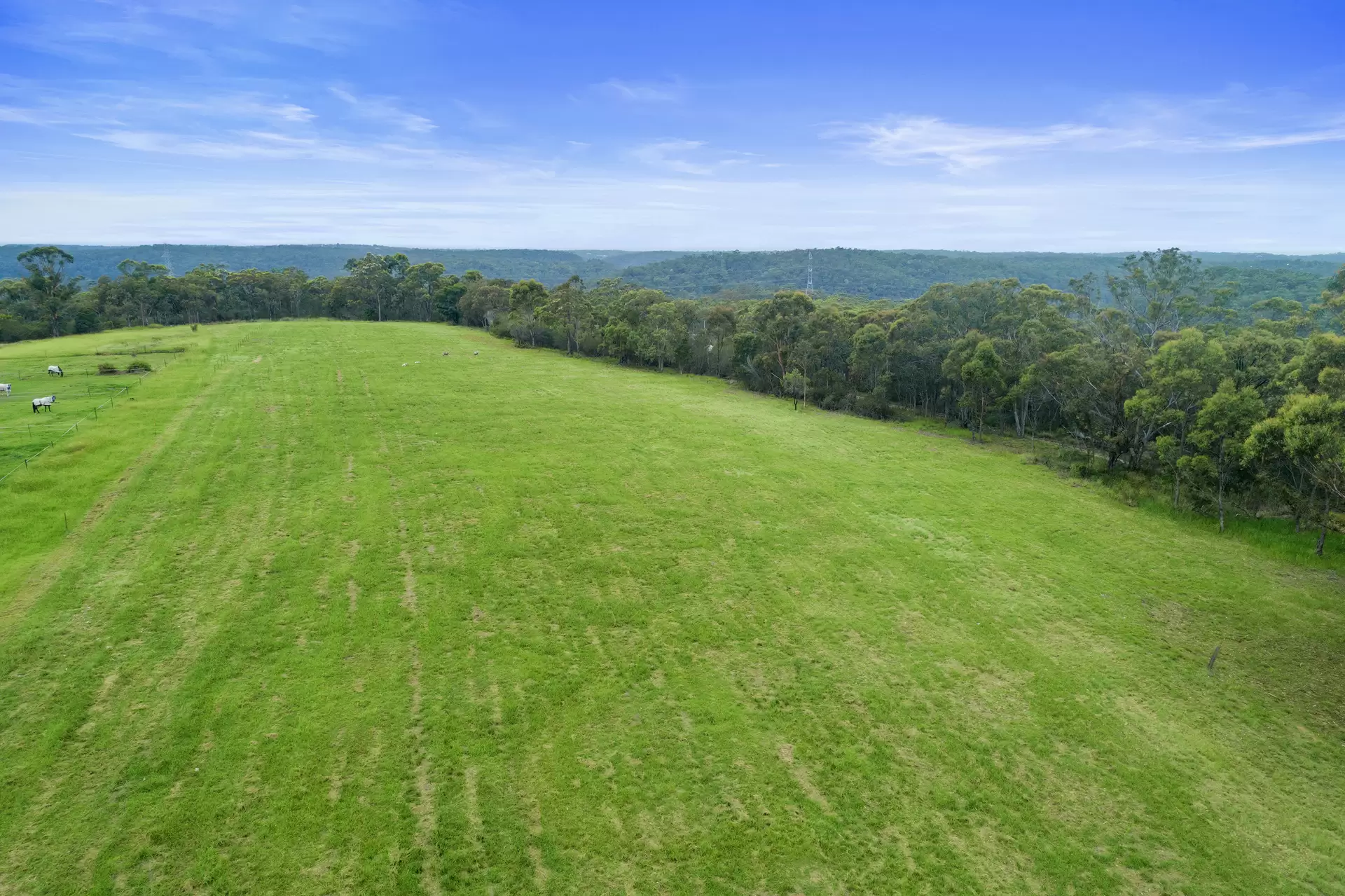 156 Paulls Road, South Maroota Sold by Cutcliffe Properties - image 1