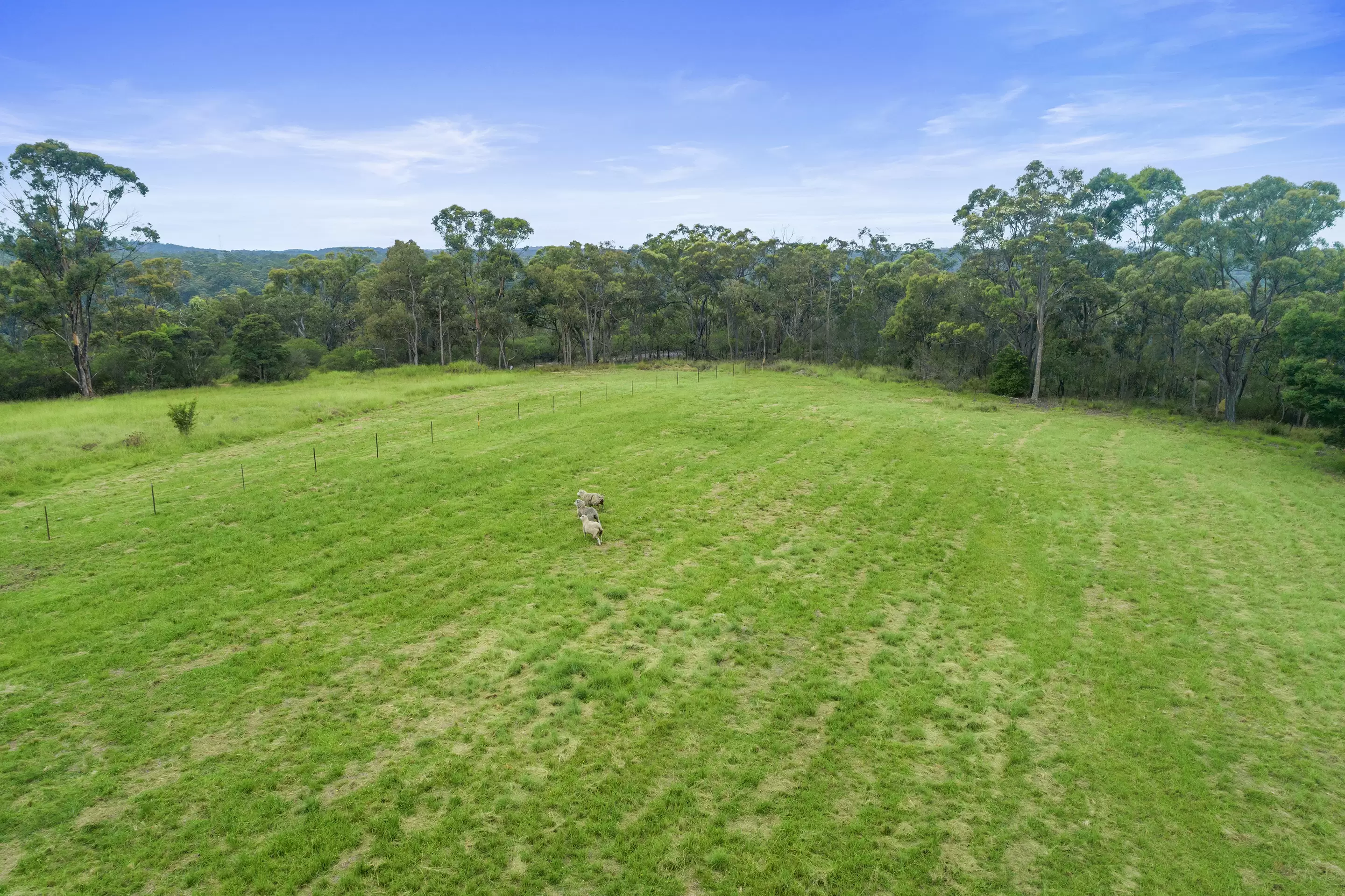 156 Paulls Road, South Maroota Sold by Cutcliffe Properties - image 8