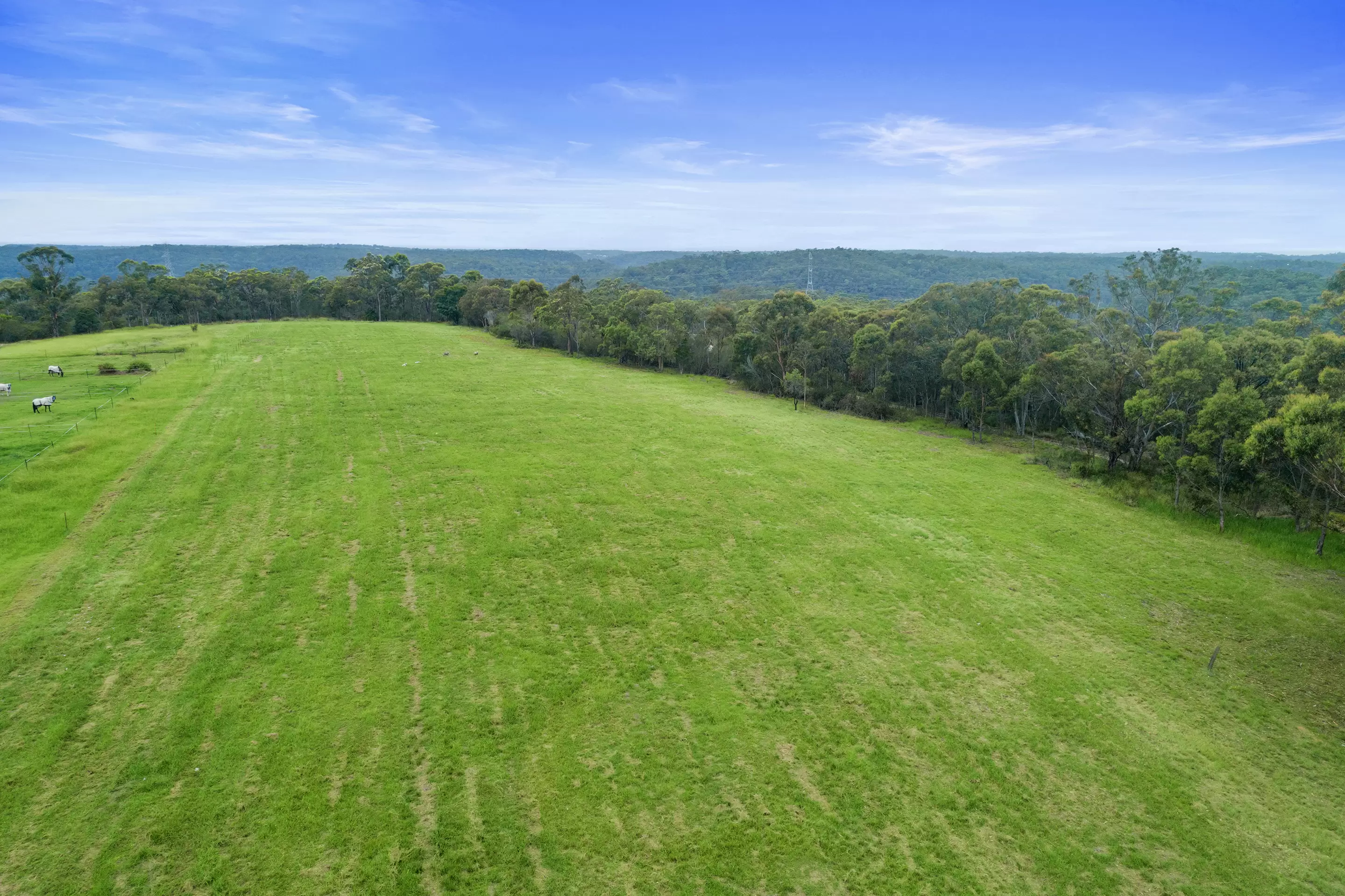 156 Paulls Road, South Maroota Sold by Cutcliffe Properties - image 6