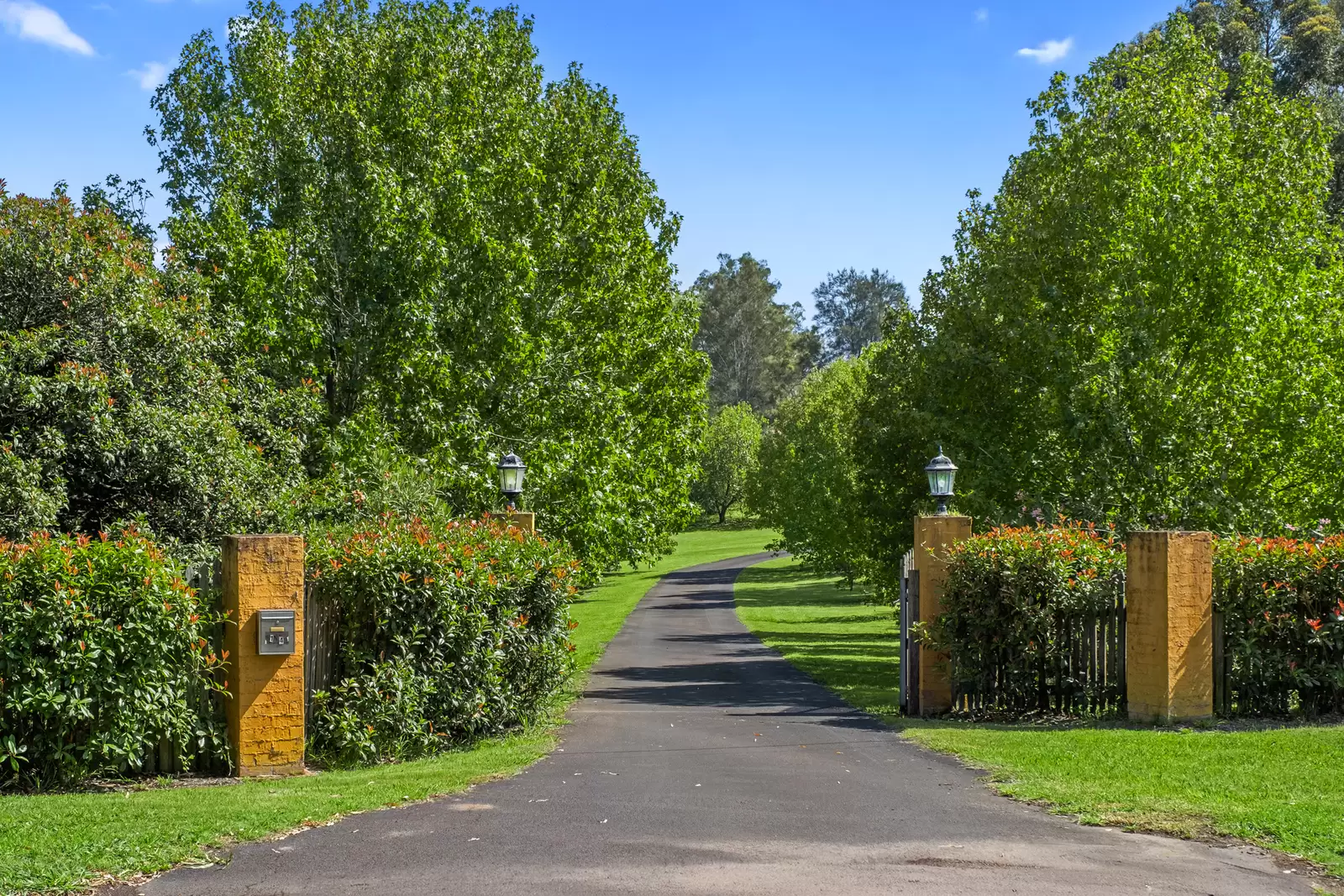 144 Threlkeld Drive, Cattai Auction by Cutcliffe Properties - image 22