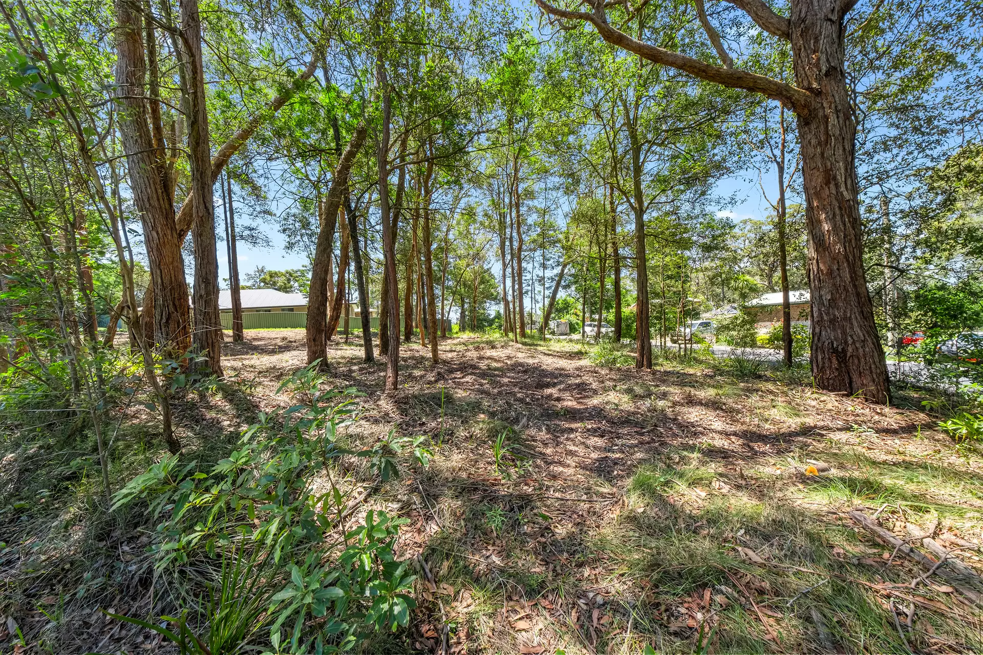 34 Waratah Street, Bowen Mountain For Sale by Cutcliffe Properties - image 1