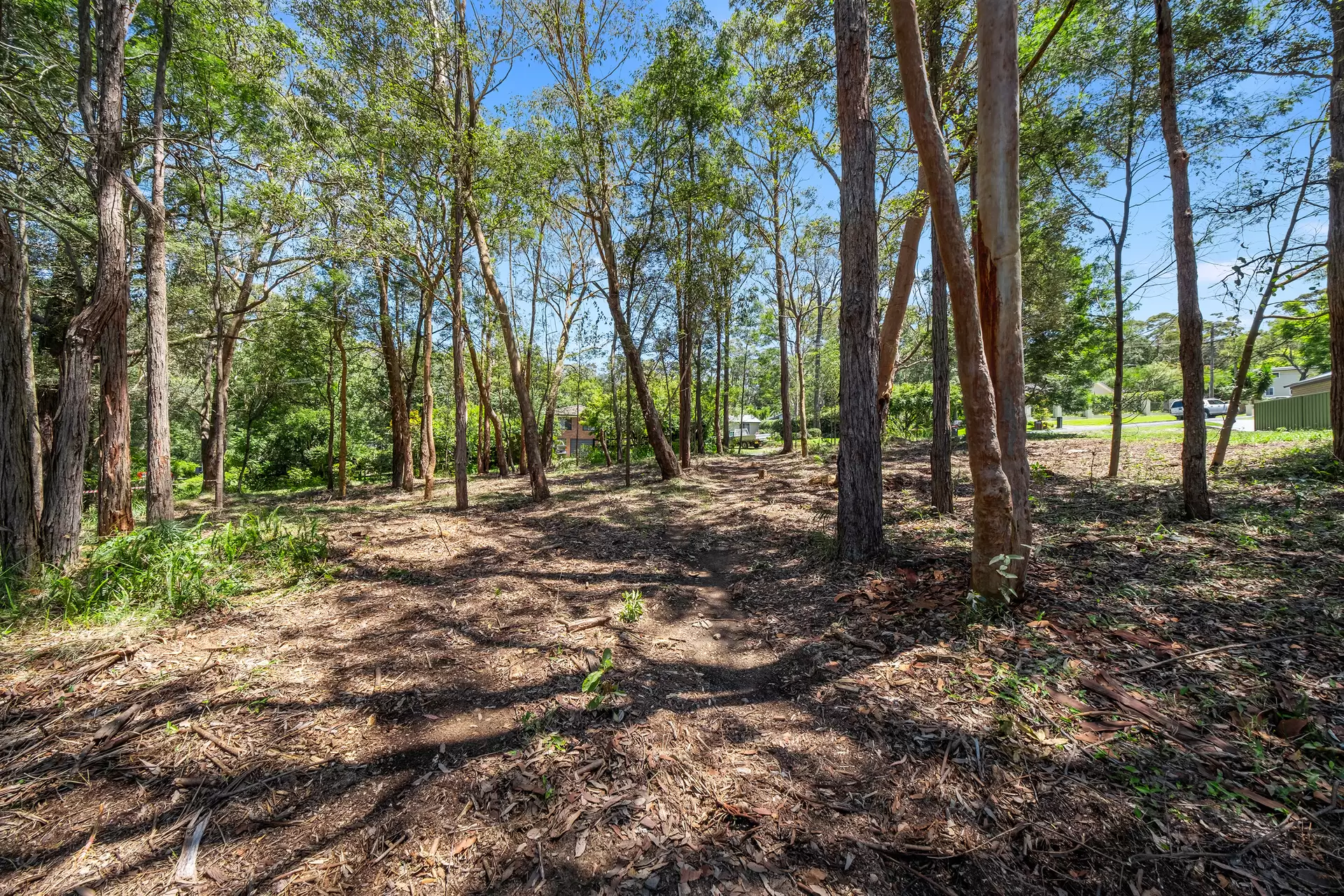34 Waratah Street, Bowen Mountain For Sale by Cutcliffe Properties - image 1