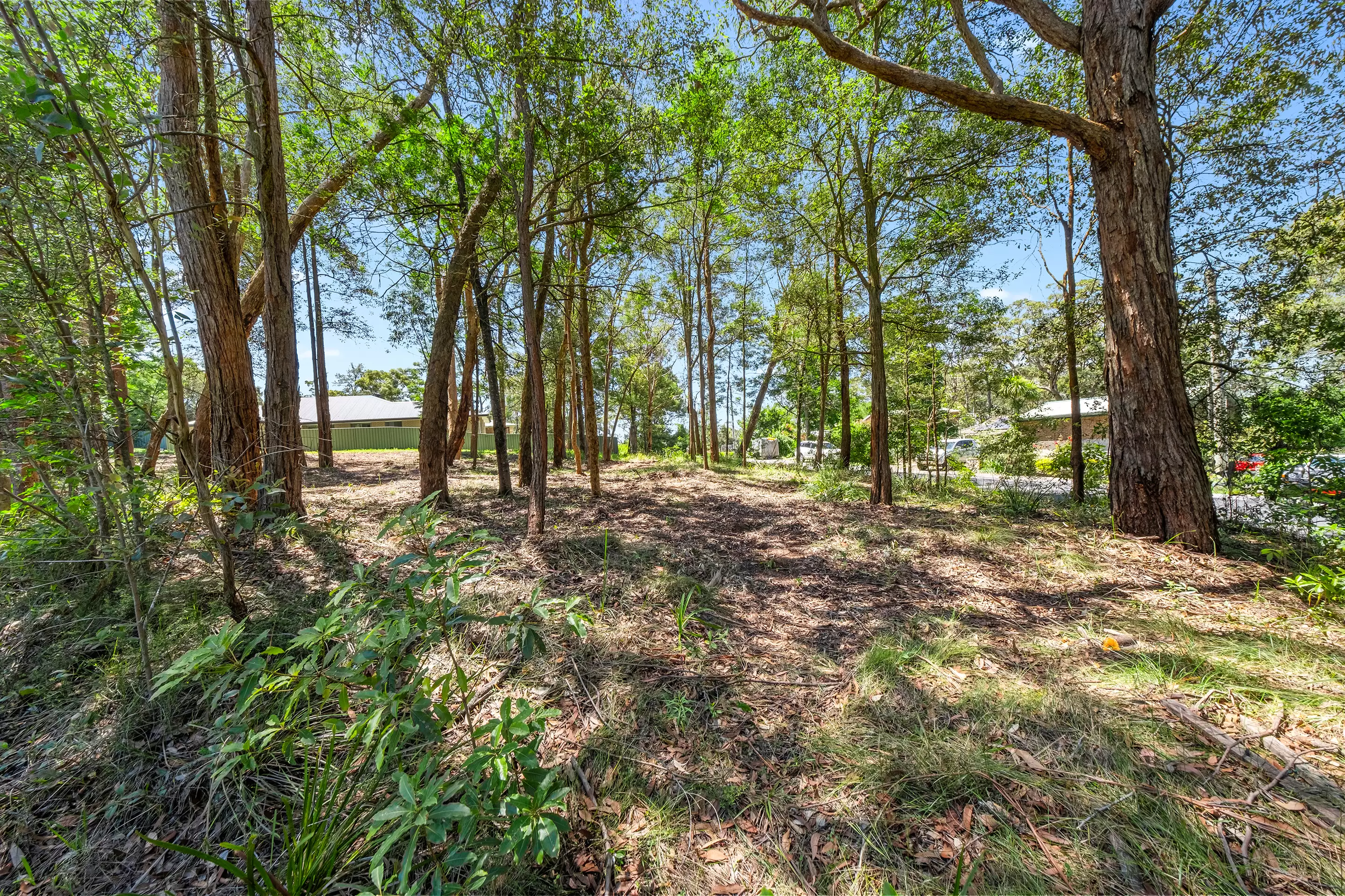 34 Waratah Street, Bowen Mountain For Sale by Cutcliffe Properties - image 5