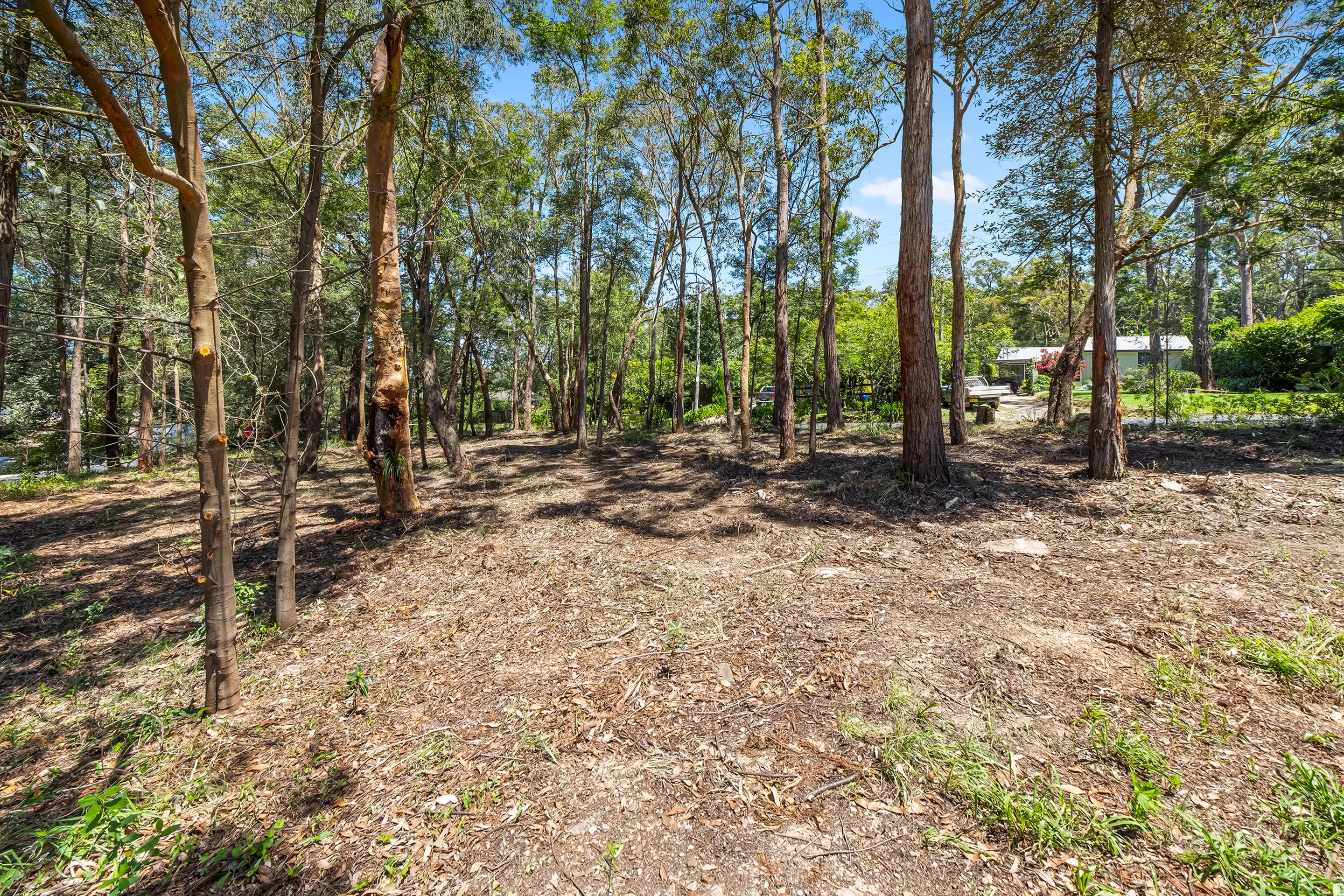 34 Waratah Street, Bowen Mountain For Sale by Cutcliffe Properties - image 8