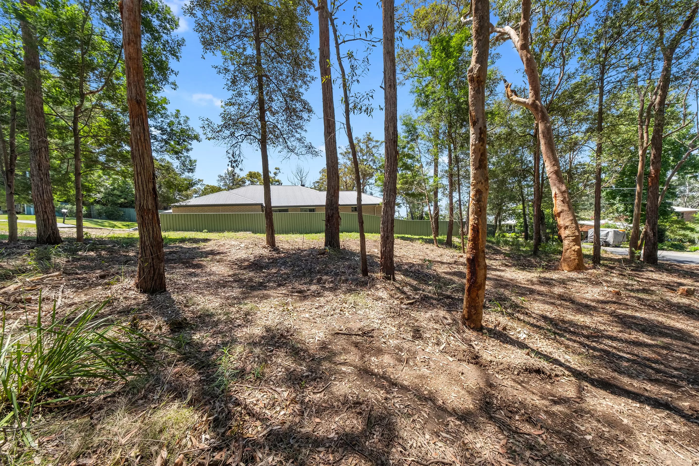 34 Waratah Street, Bowen Mountain For Sale by Cutcliffe Properties - image 4