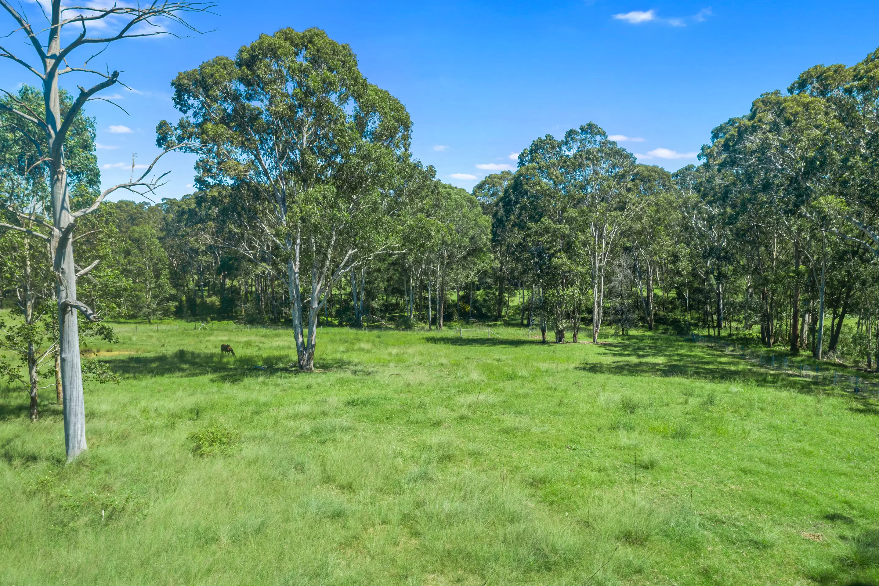 36 Kamrock Grove, Wilberforce For Sale by Cutcliffe Properties - image 20