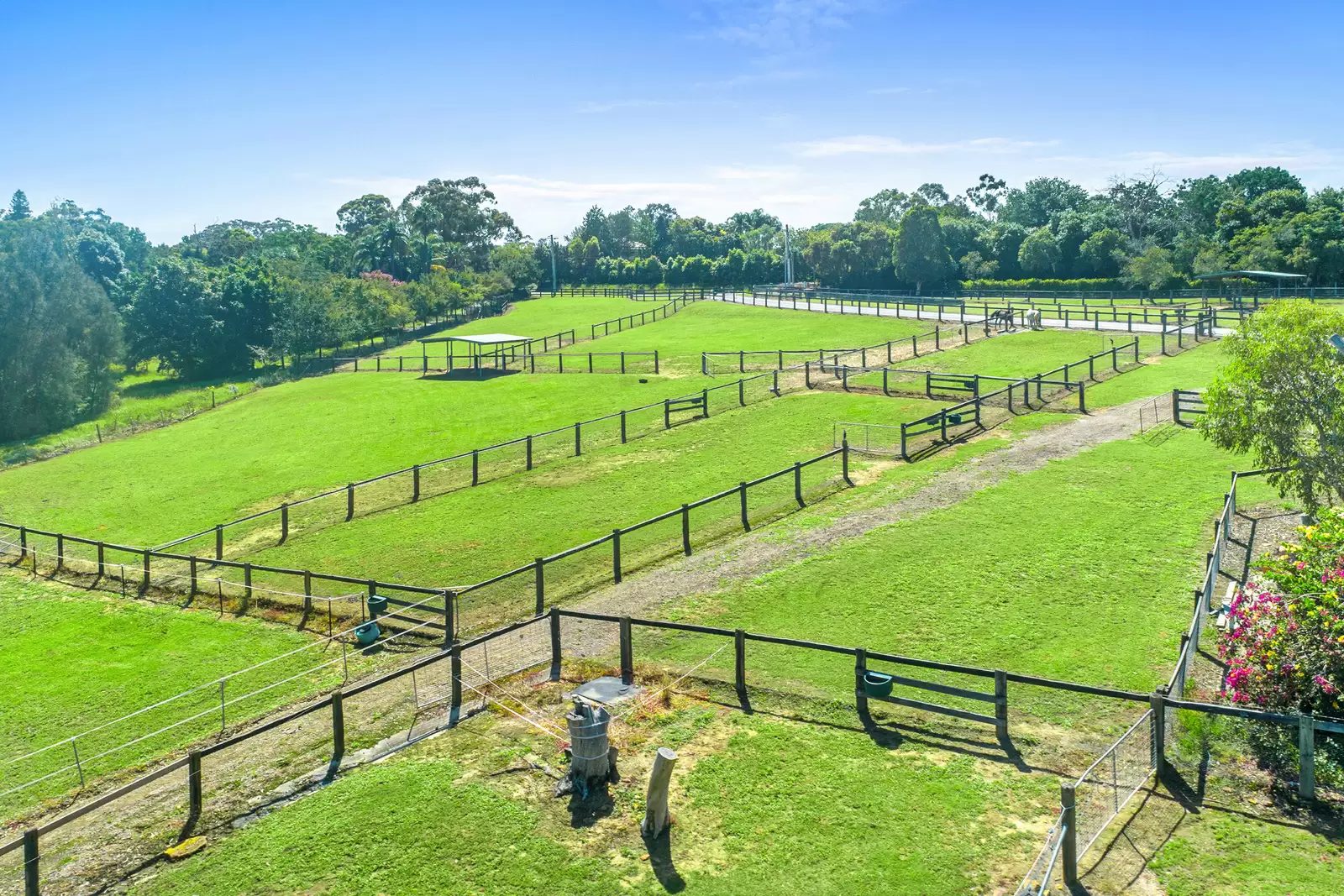9 Gleness Place, Glenorie Sold by Cutcliffe Properties - image 17