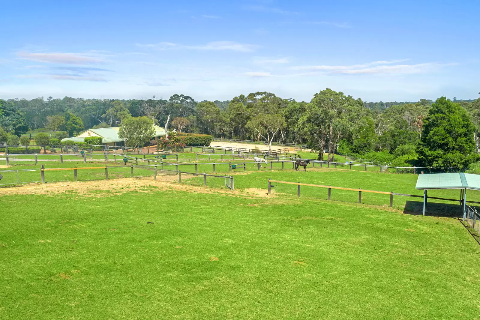 9 Gleness Place, Glenorie Sold by Cutcliffe Properties - image 18