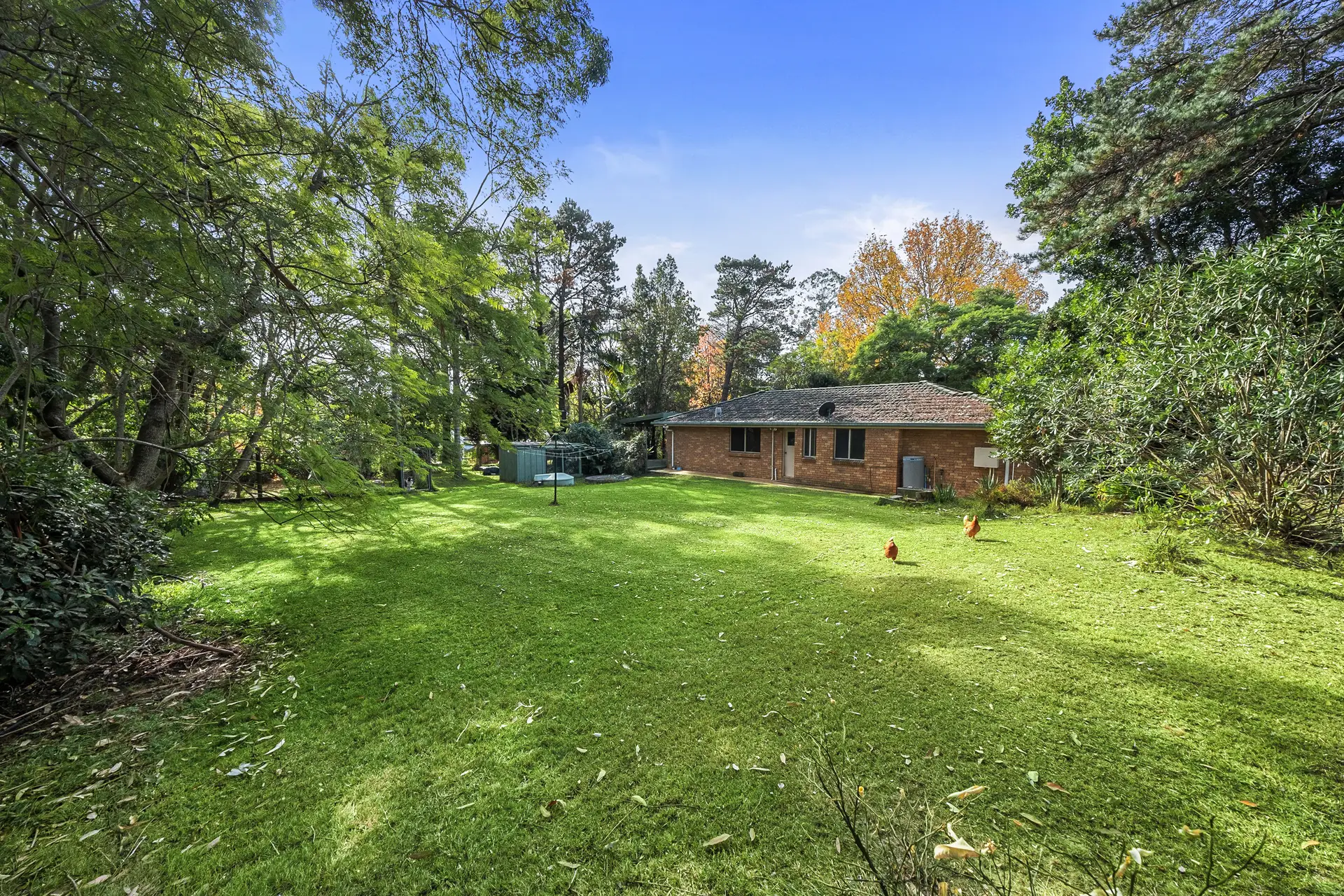73 Crosslands Road, Galston Sold by Cutcliffe Properties - image 1