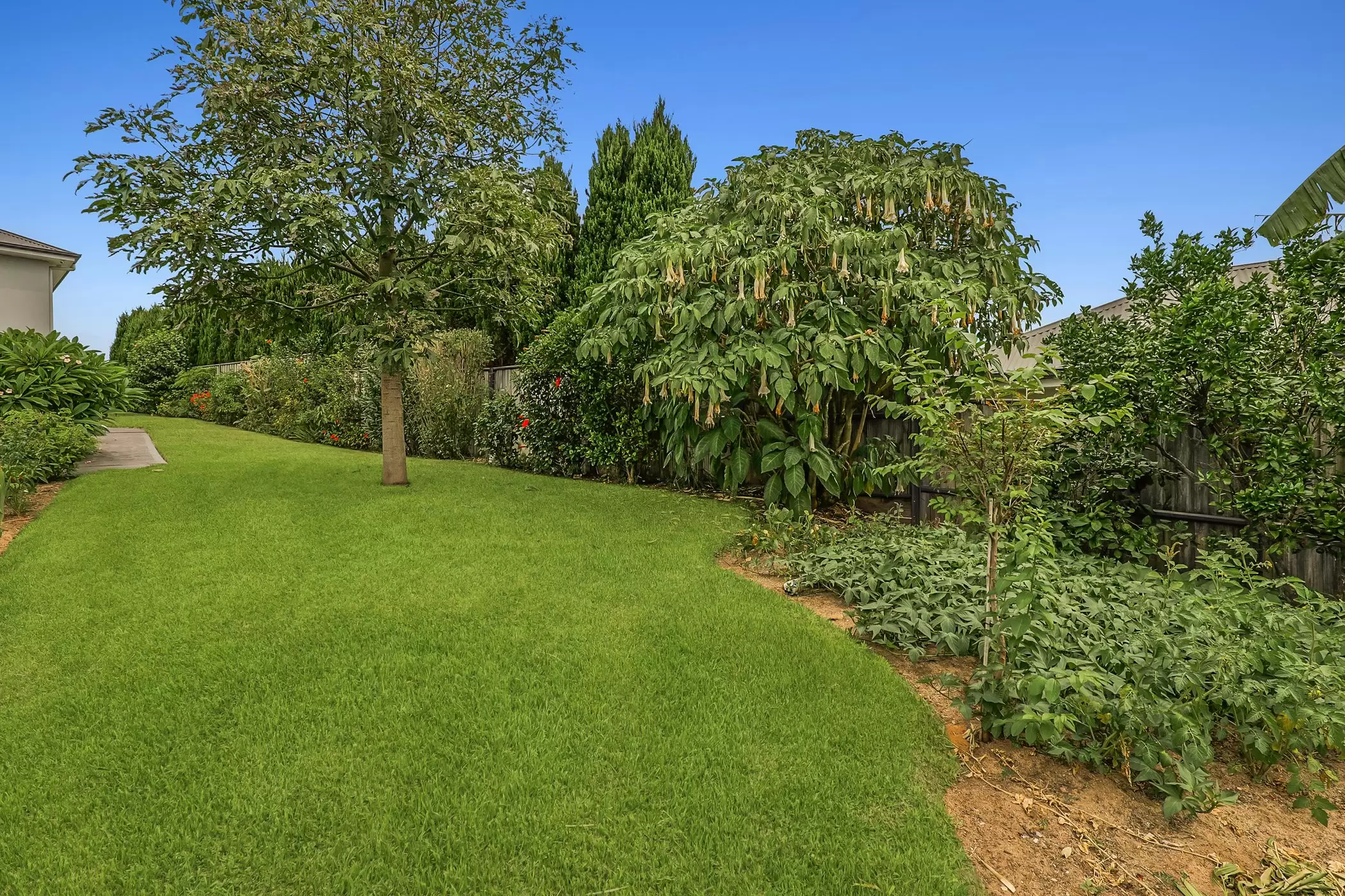 31 Blighton Road (also known as 28 Cleary Drive), Pitt Town For Sale by Cutcliffe Properties - image 21