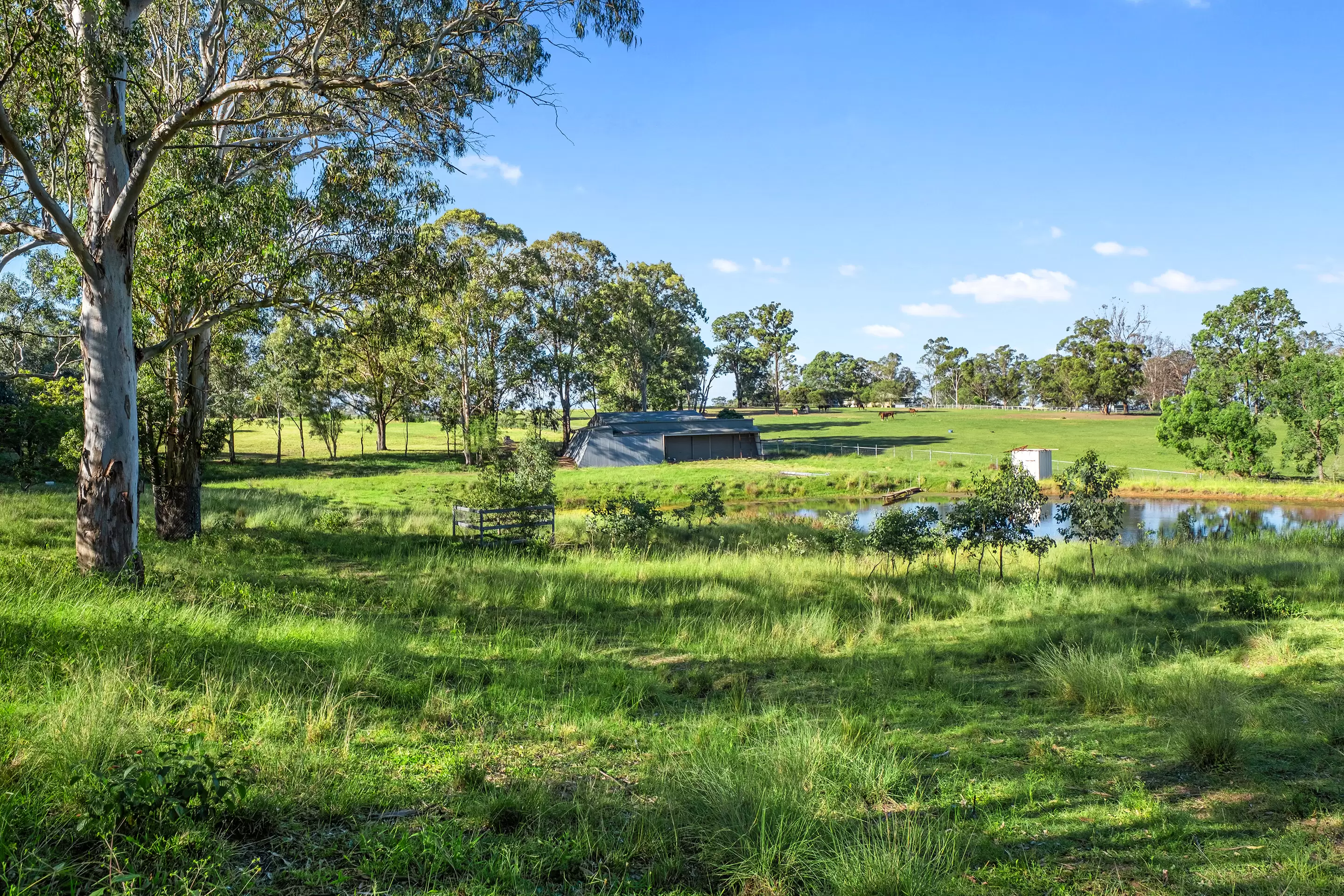 1039 Kurmond Road, North Richmond For Sale by Cutcliffe Properties - image 19