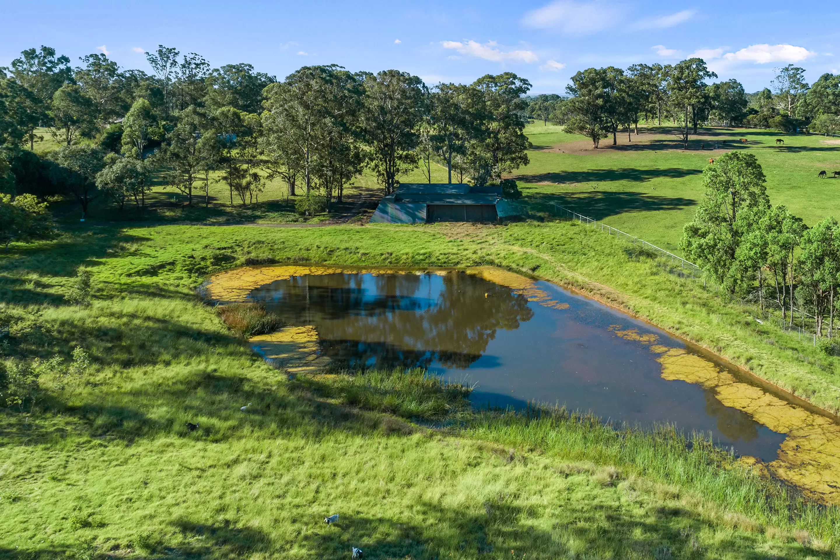 1039 Kurmond Road, North Richmond For Sale by Cutcliffe Properties - image 20