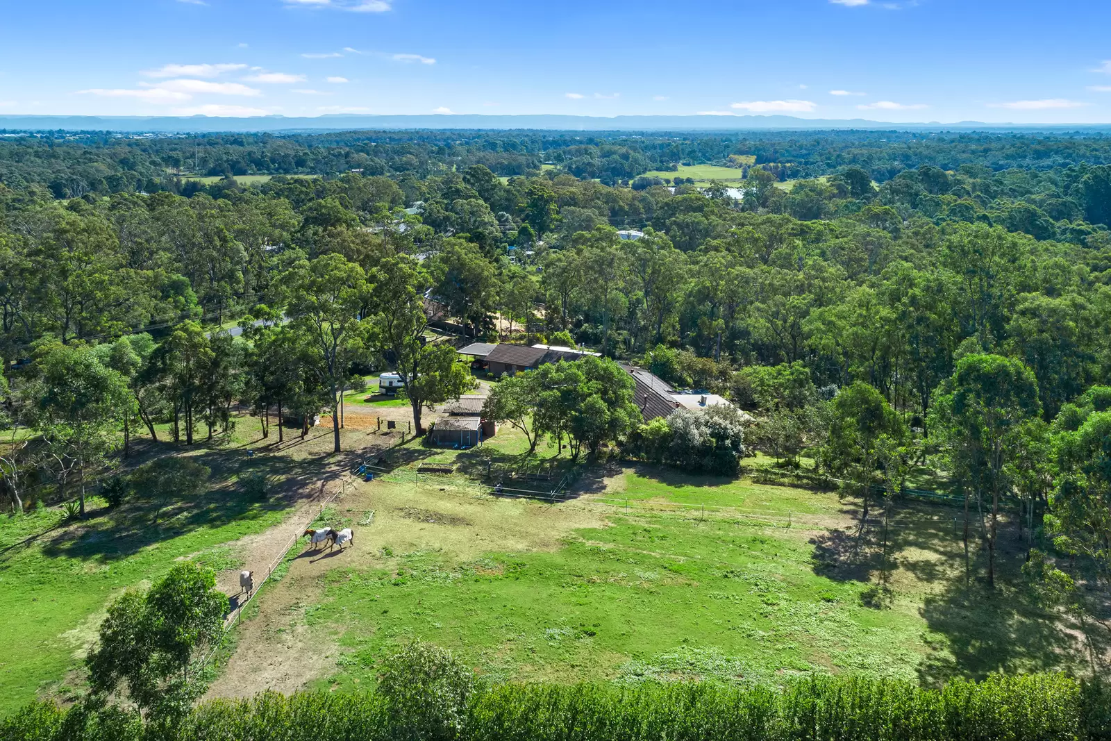 37 Mitchell Park Road, Cattai For Sale by Cutcliffe Properties - image 4