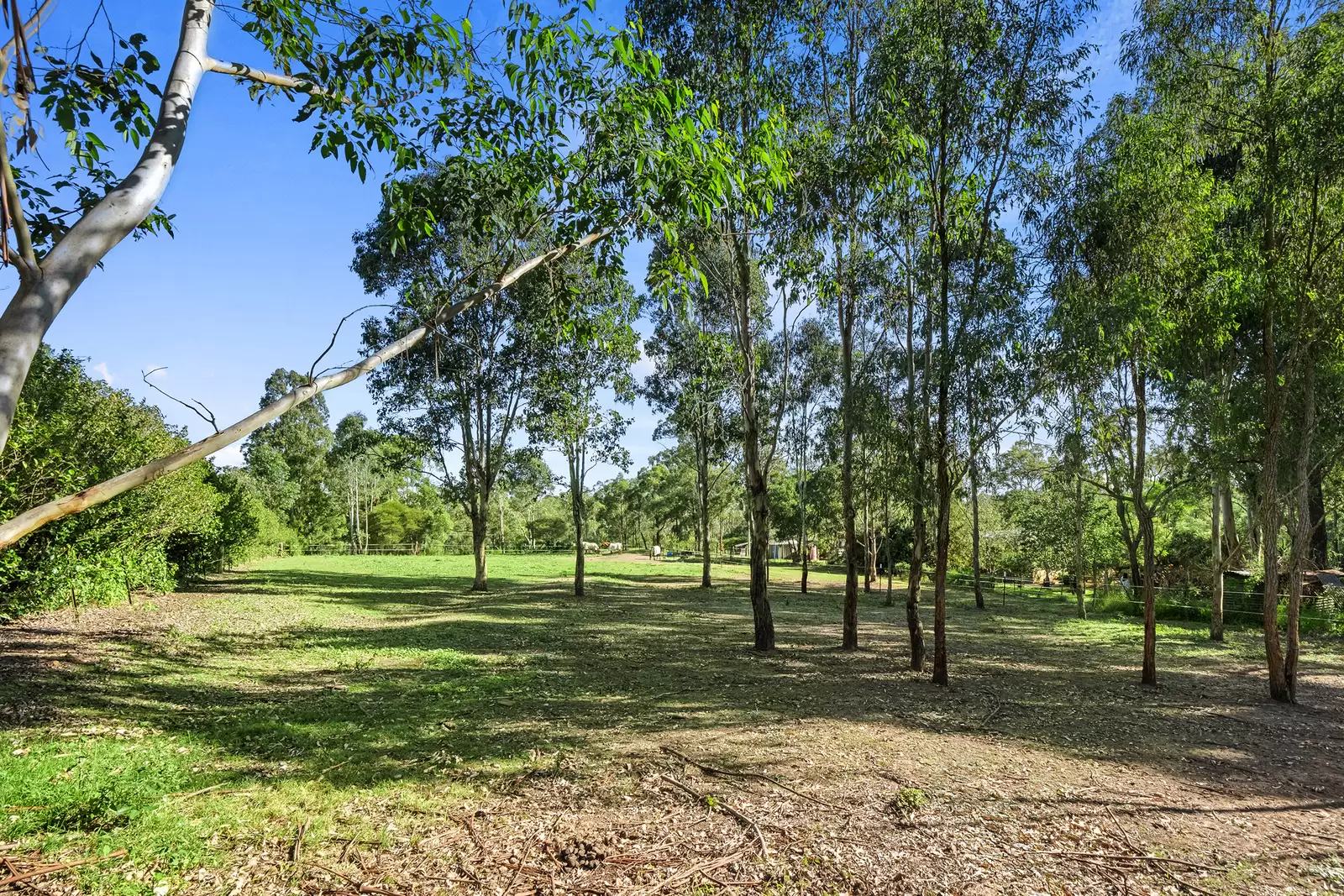 37 Mitchell Park Road, Cattai For Sale by Cutcliffe Properties - image 19