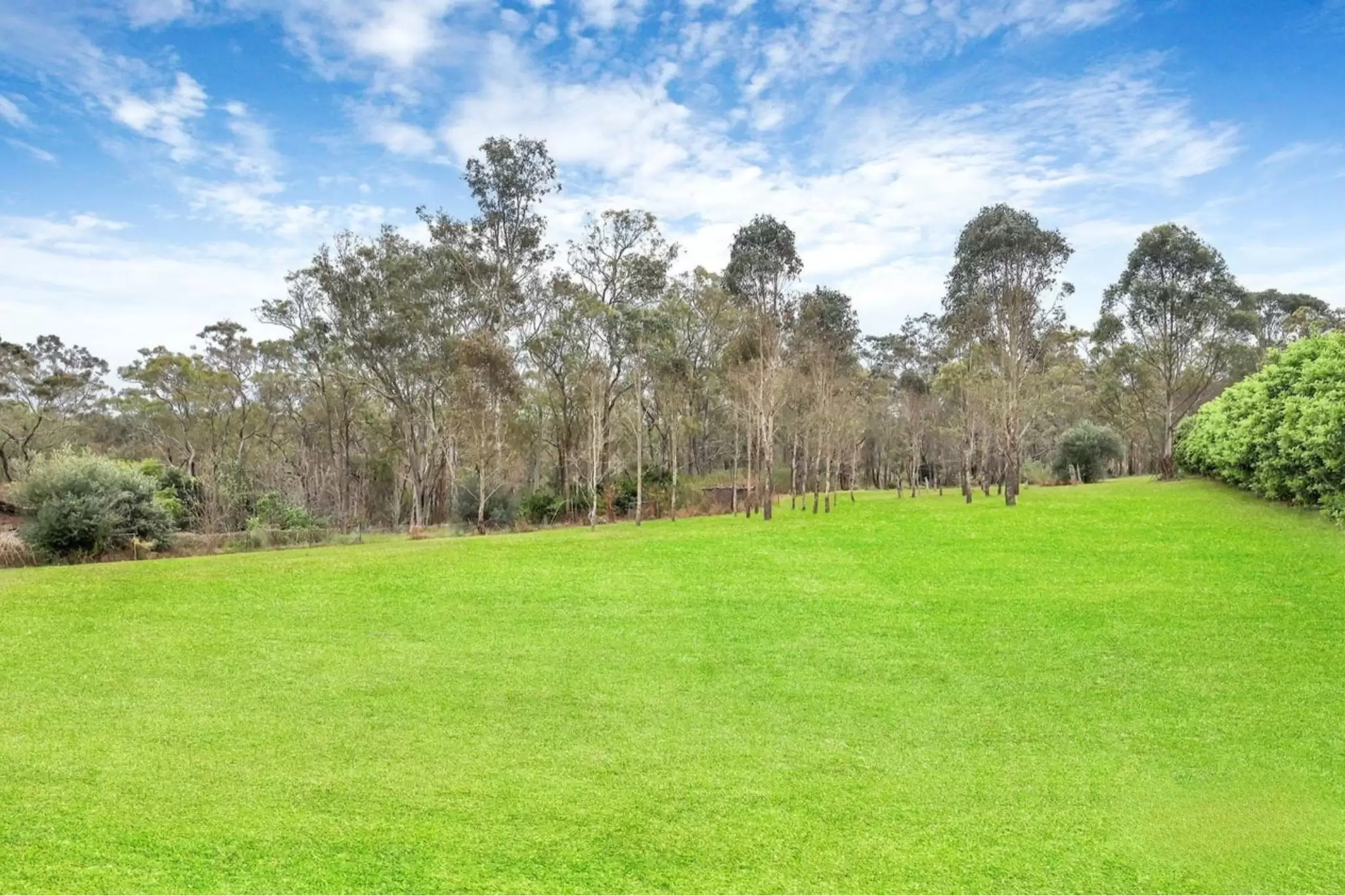 37 Mitchell Park Road, Cattai For Sale by Cutcliffe Properties - image 5