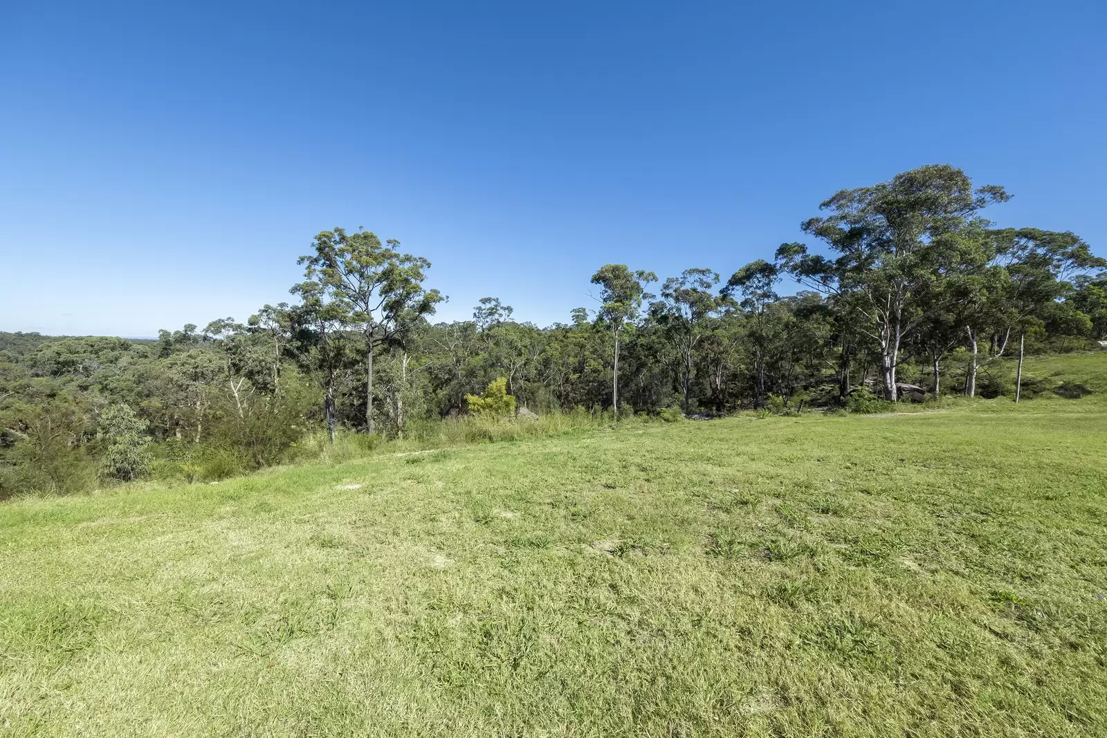 7 White Wattle Grove, Sackville North For Sale by Cutcliffe Properties - image 8
