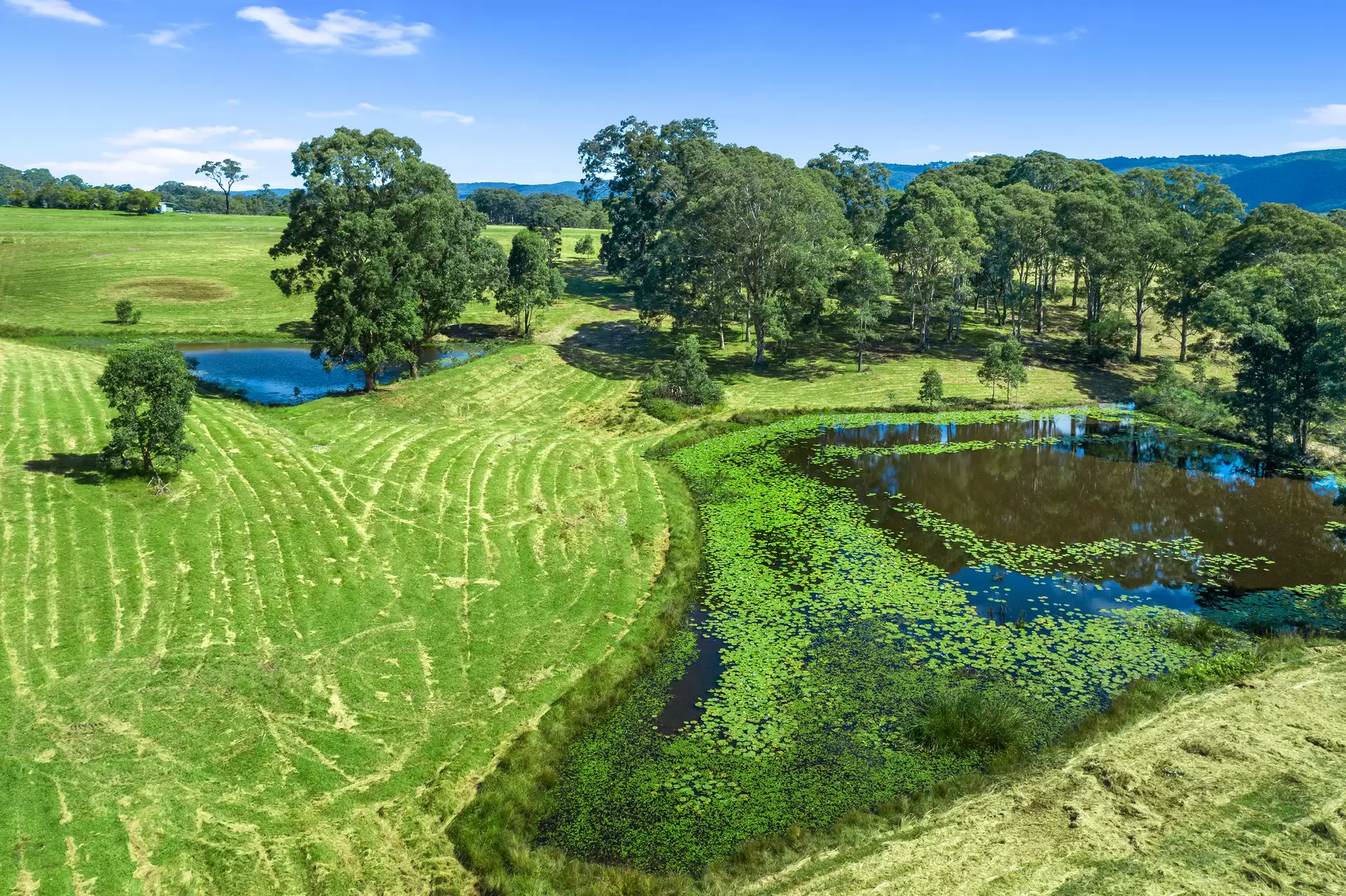 Lot 2 463 Comleroy Road ( also known as 22 McMahons Road), Kurrajong Sold by Cutcliffe Properties - image 1