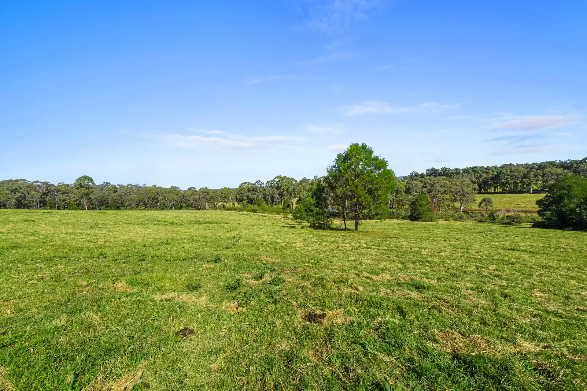 219 Bells Line of Road, North Richmond Sold by Cutcliffe Properties - image 1