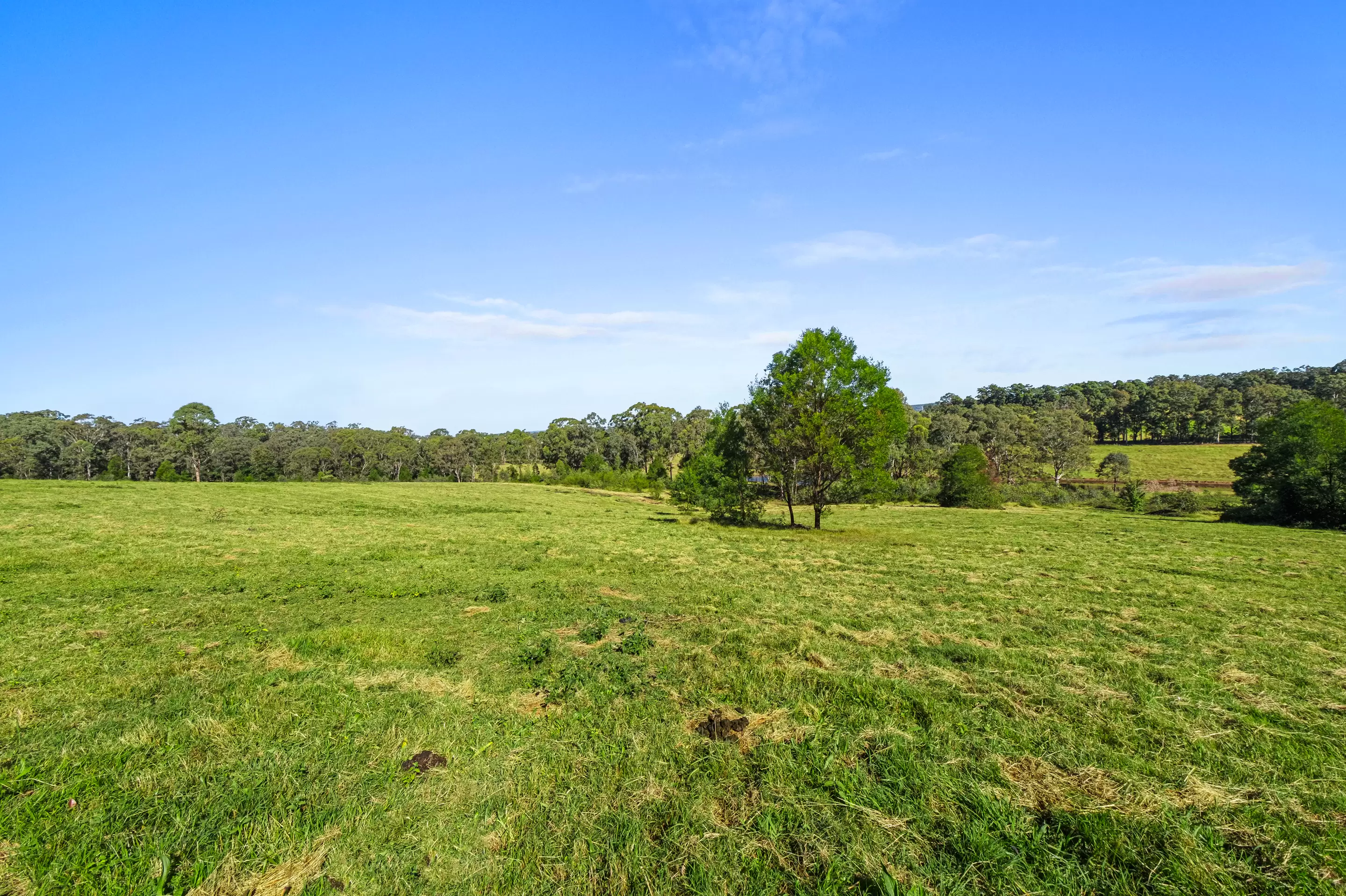 219 Bells Line of Road, North Richmond Sold by Cutcliffe Properties - image 13