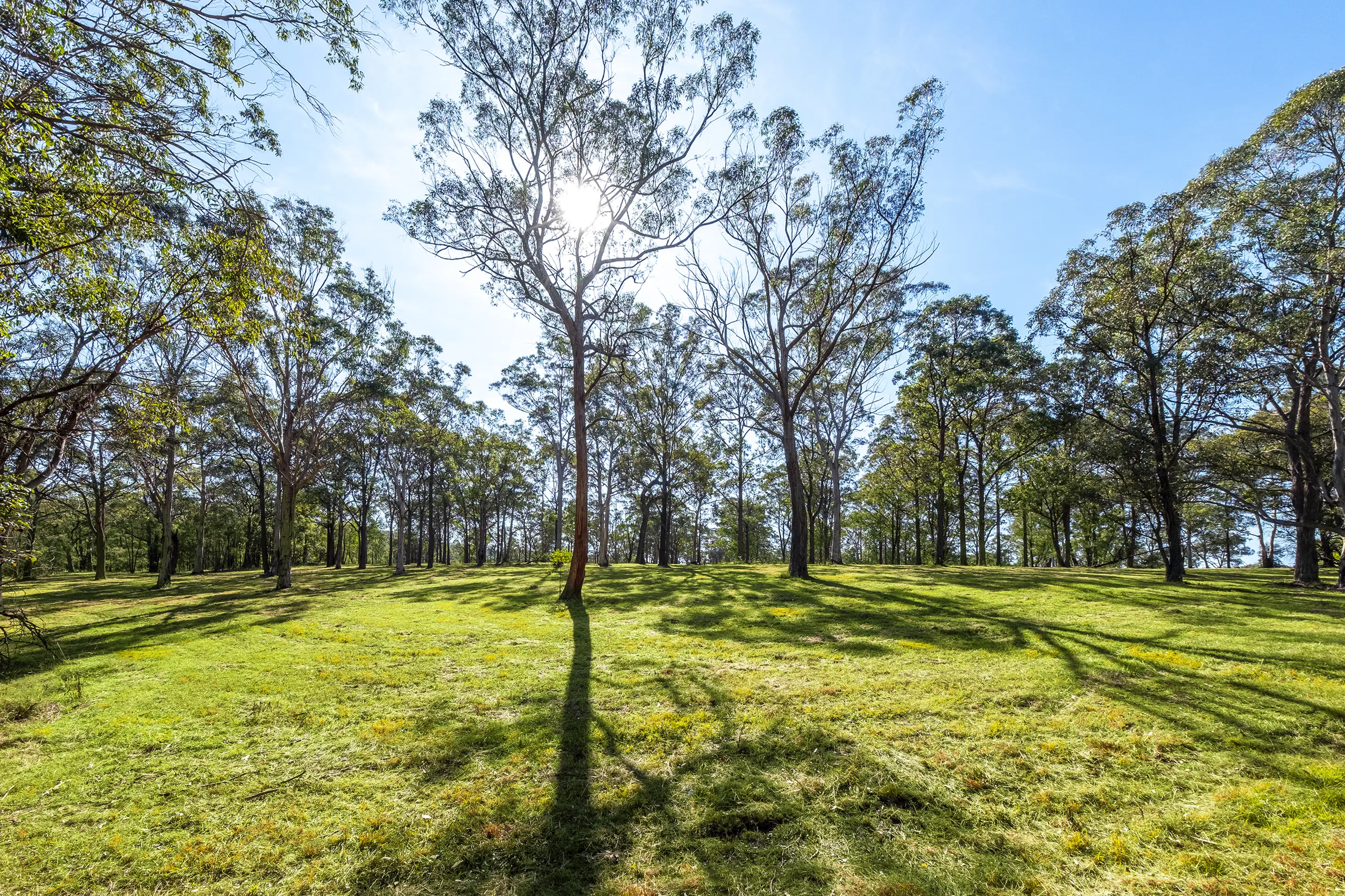 Proposed Lot 13 Of 321A East Kurrajong Road, East Kurrajong Sold by Cutcliffe Properties - image 8