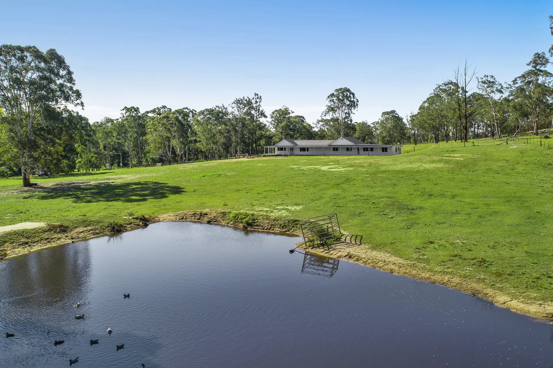 59 Lamrock Avenue, Glossodia Sold by Cutcliffe Properties - image 1