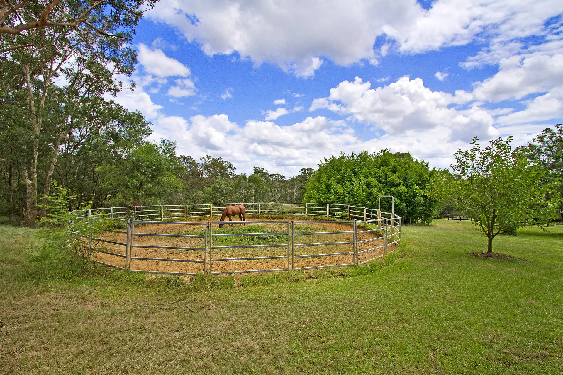 59 Lamrock Avenue, Glossodia Sold by Cutcliffe Properties - image 1