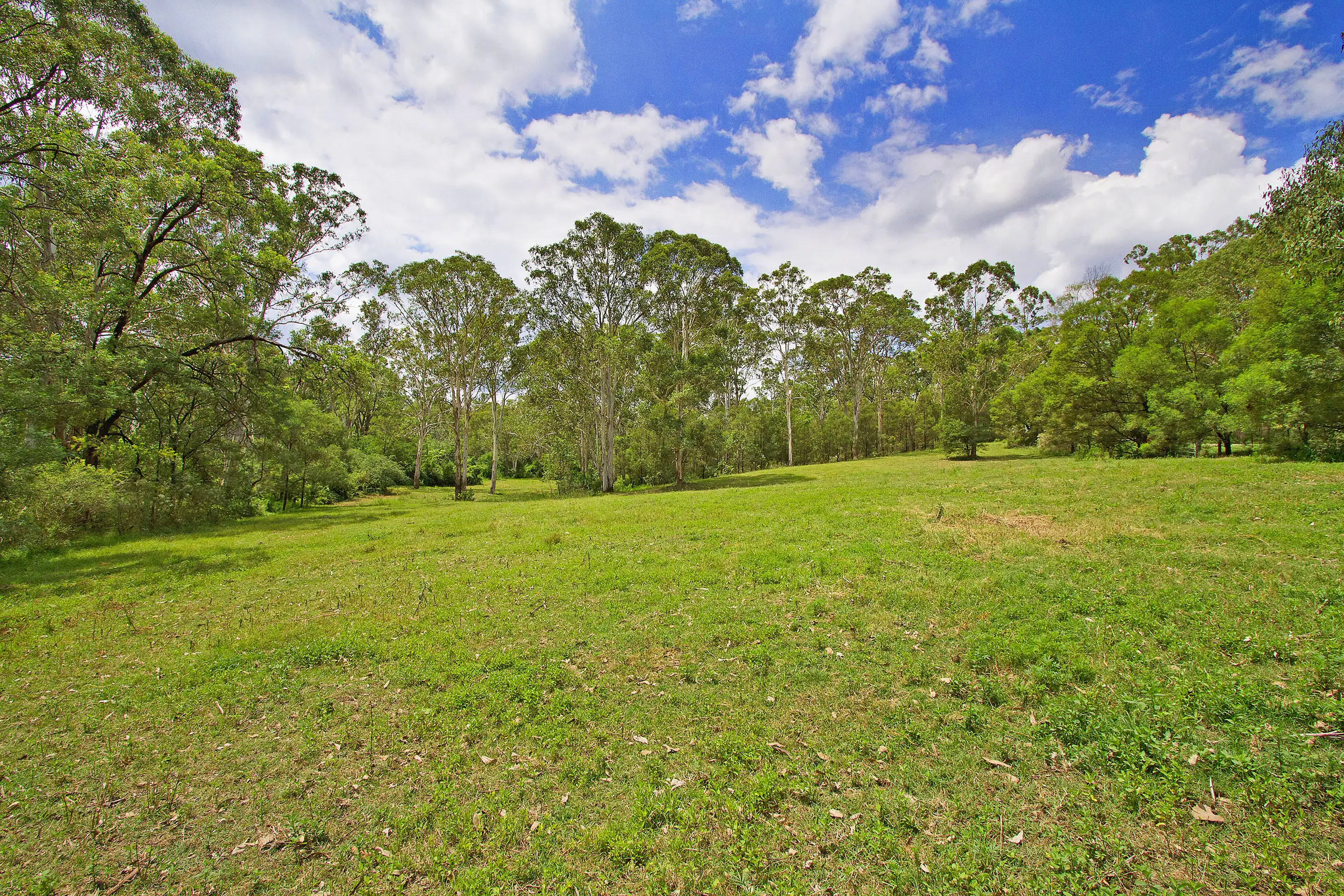 59 Lamrock Avenue, Glossodia Sold by Cutcliffe Properties - image 20