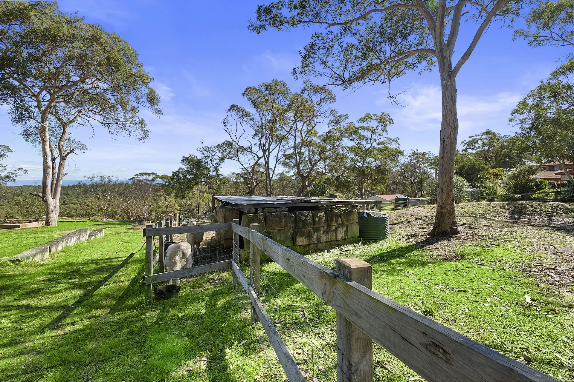 49 Mount View Road, Glenorie Sold by Cutcliffe Properties - image 1