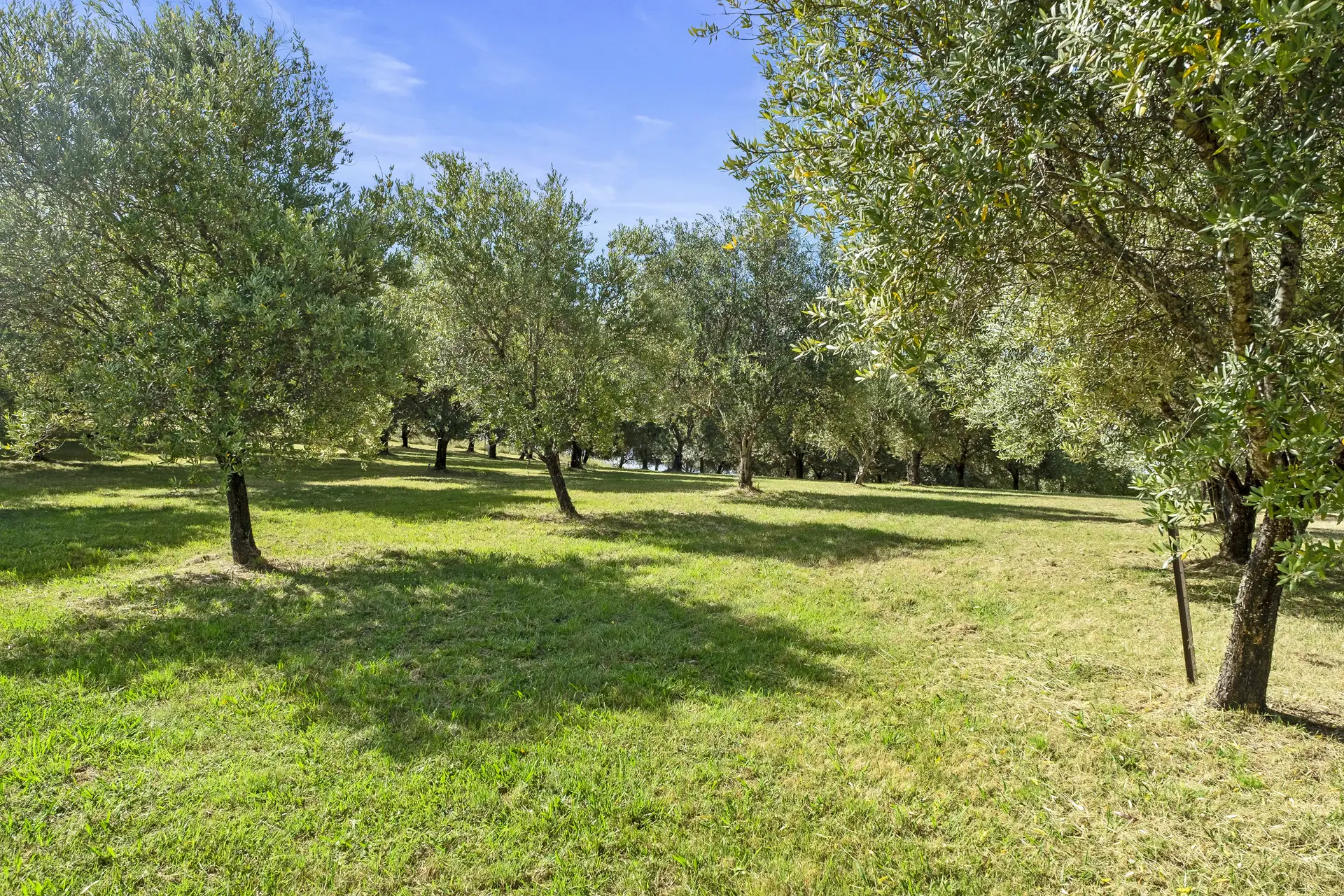 5835 Putty Road, Howes Valley Sold by Cutcliffe Properties - image 1