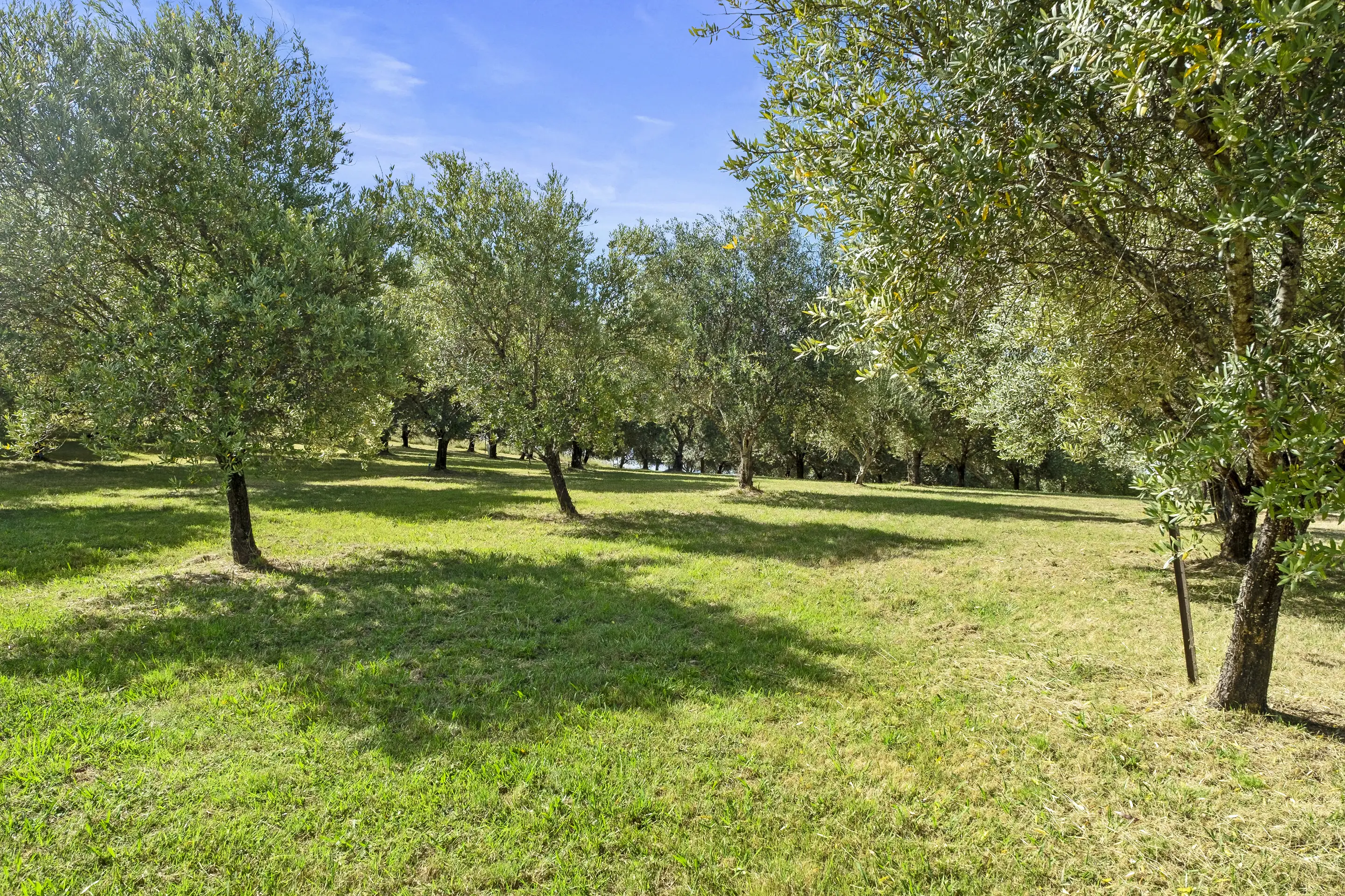 5835 Putty Road, Howes Valley Sold by Cutcliffe Properties - image 30