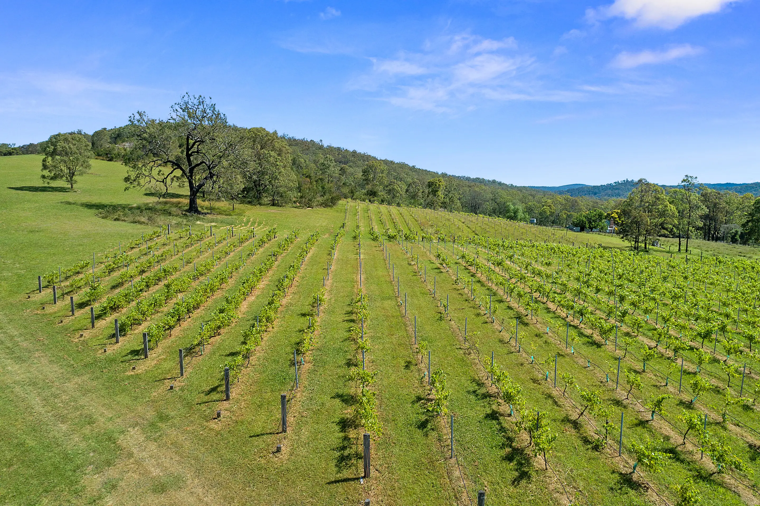 5835 Putty Road, Howes Valley Sold by Cutcliffe Properties - image 27