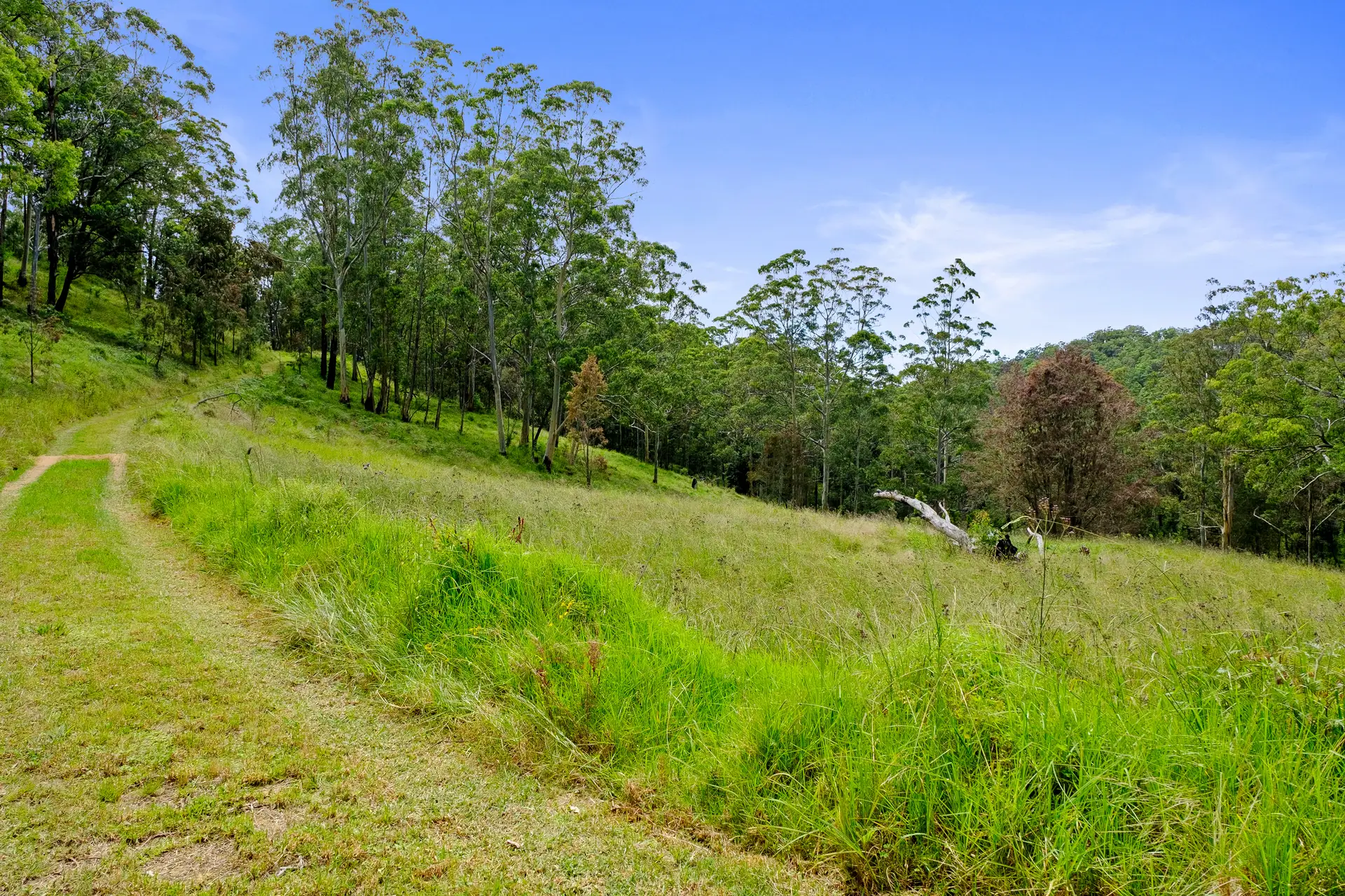 1225 Bakers Road, Putty Sold by Cutcliffe Properties - image 1