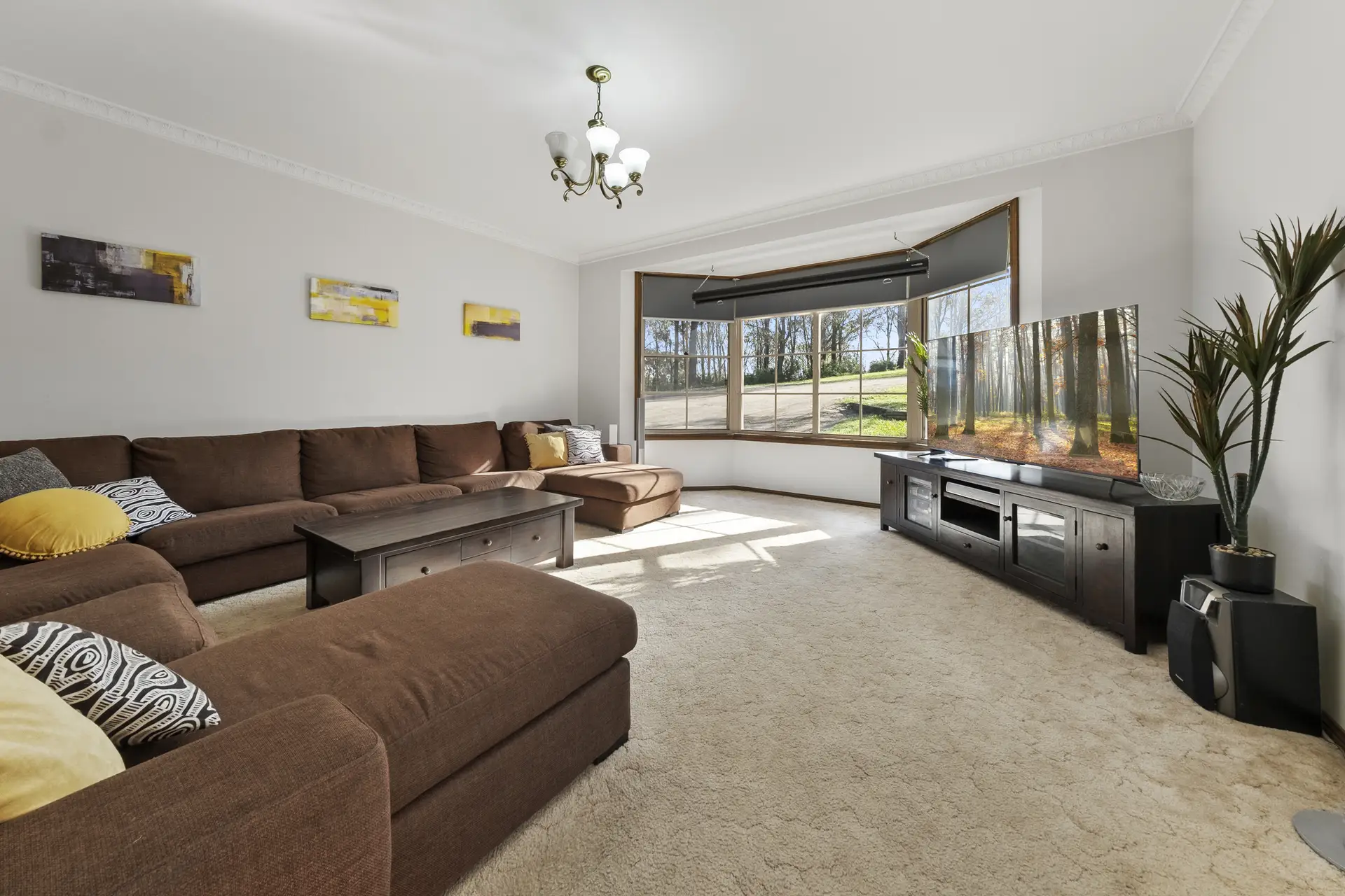 20 Douglas McMaster Place, Llandilo Sold by Cutcliffe Properties - image 1
