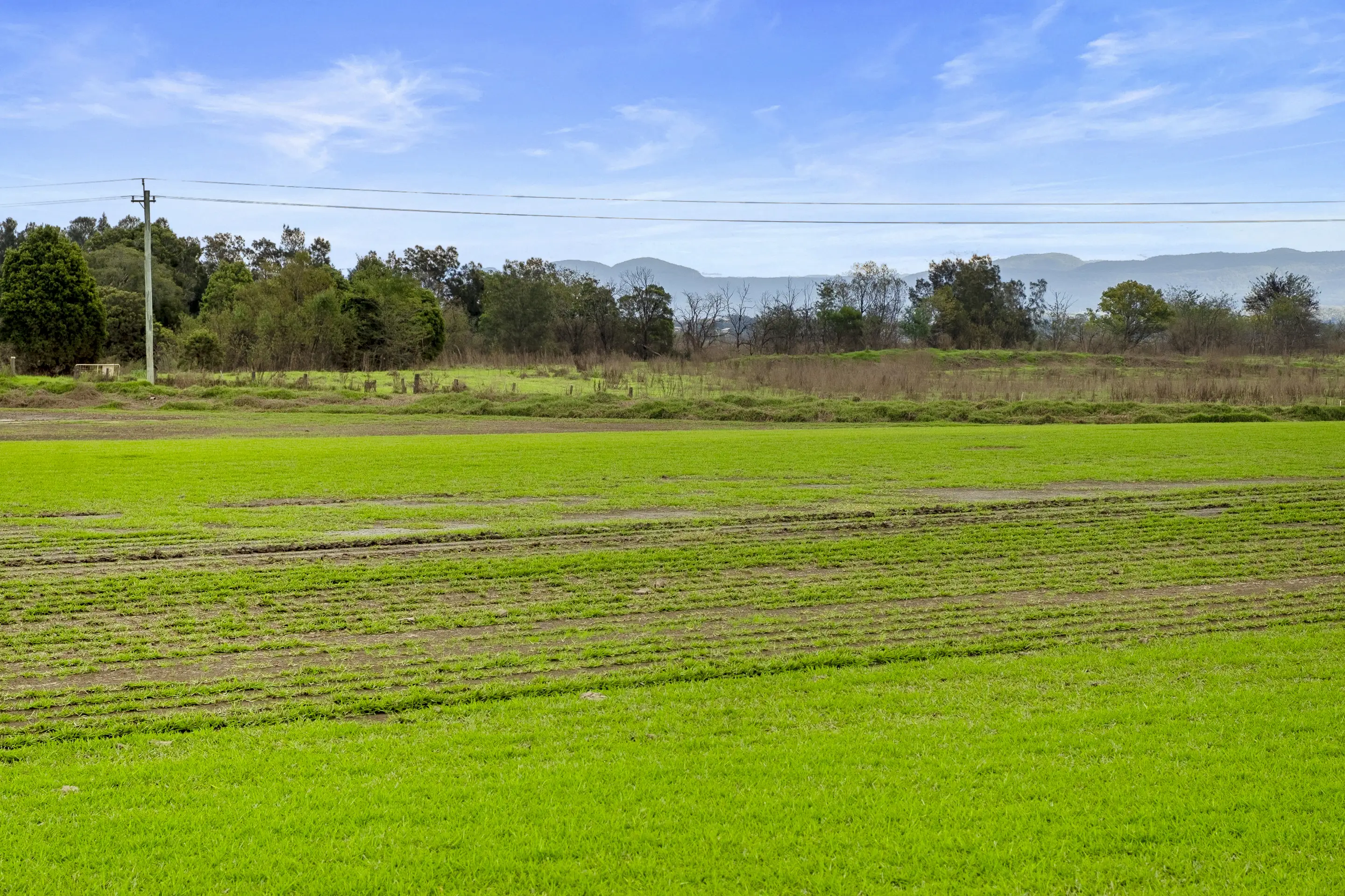 394 Cornwallis Road, Cornwallis Sold by Cutcliffe Properties - image 3