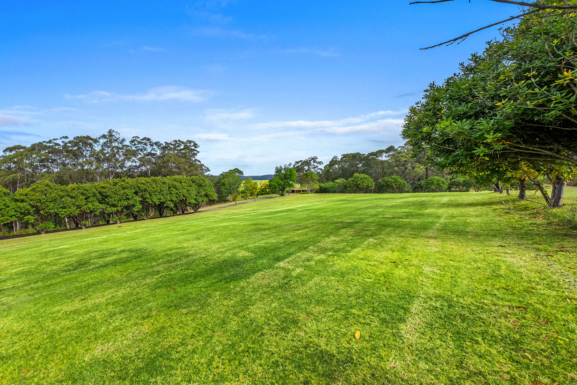 3009 Putty Road, Colo Heights Sold by Cutcliffe Properties - image 1