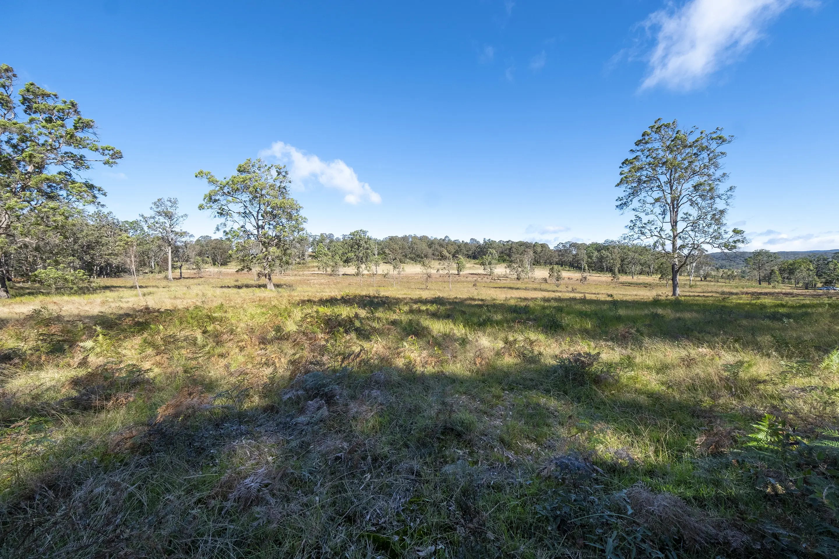 Putty Sold by Cutcliffe Properties - image 15