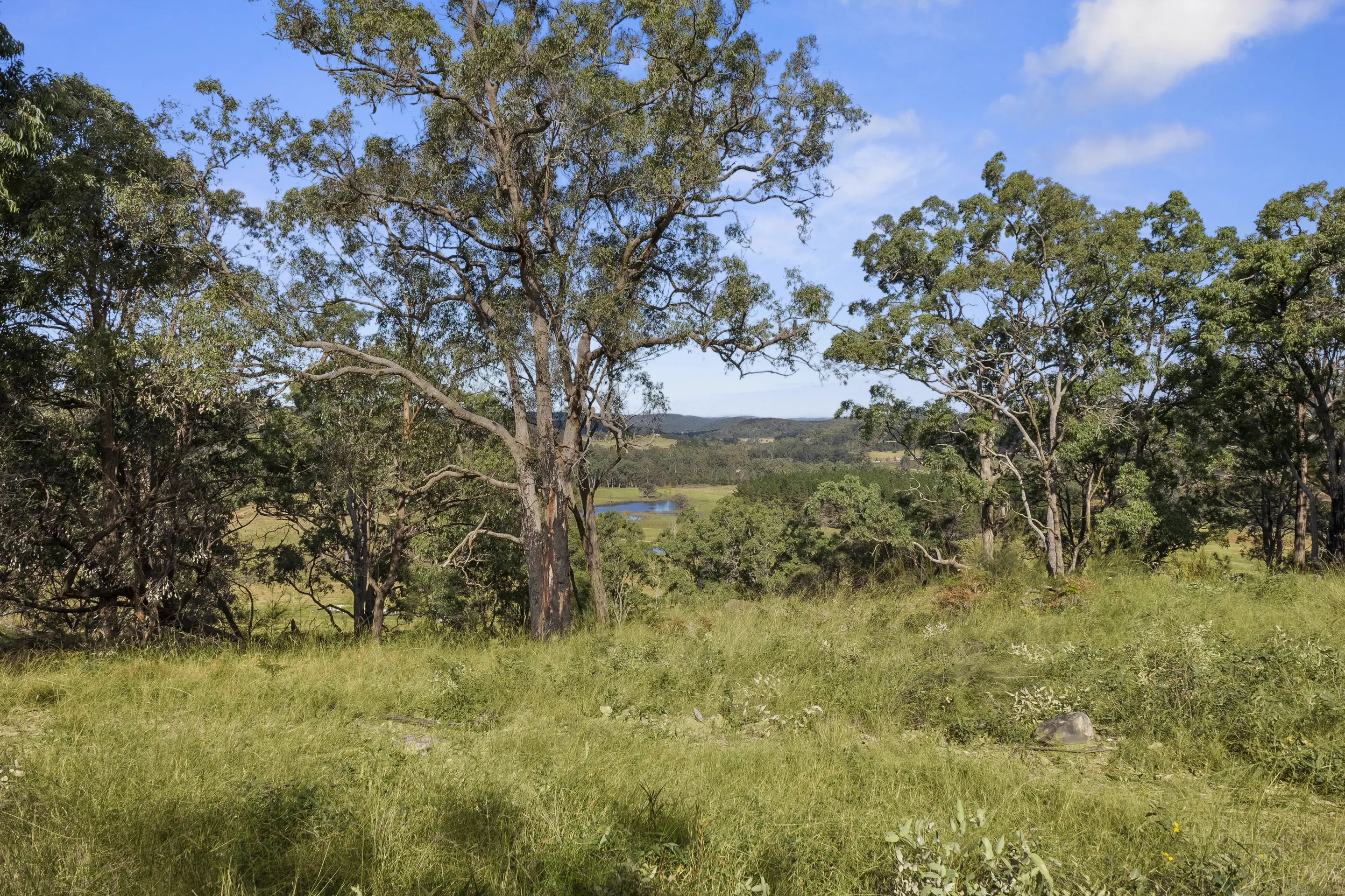 Putty Sold by Cutcliffe Properties - image 13