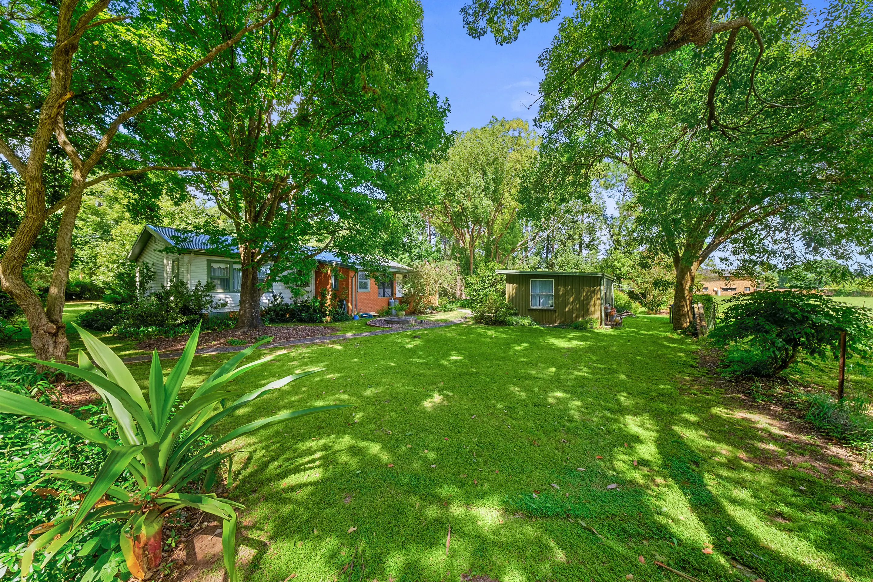 271 Eighth Avenue, Llandilo Sold by Cutcliffe Properties - image 4