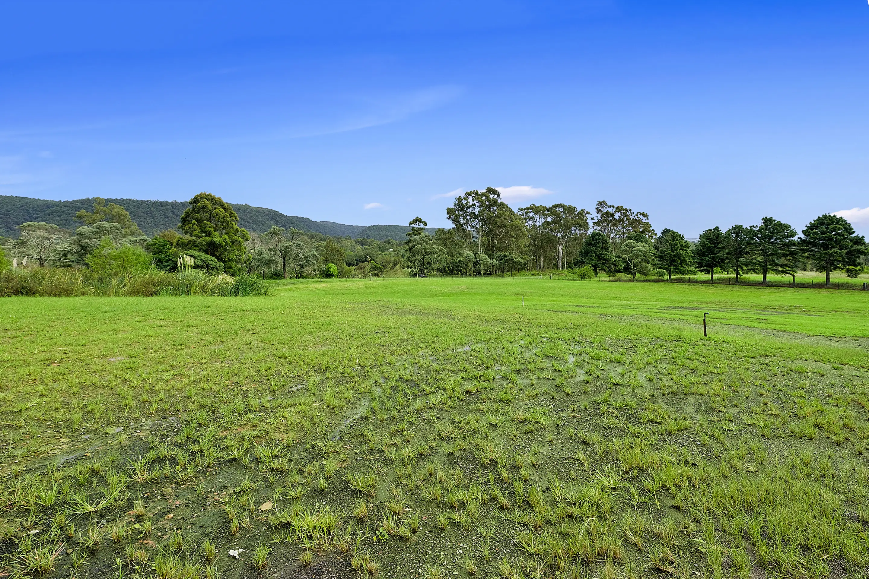 990-1002 Castlereagh Road, Castlereagh Sold by Cutcliffe Properties - image 6