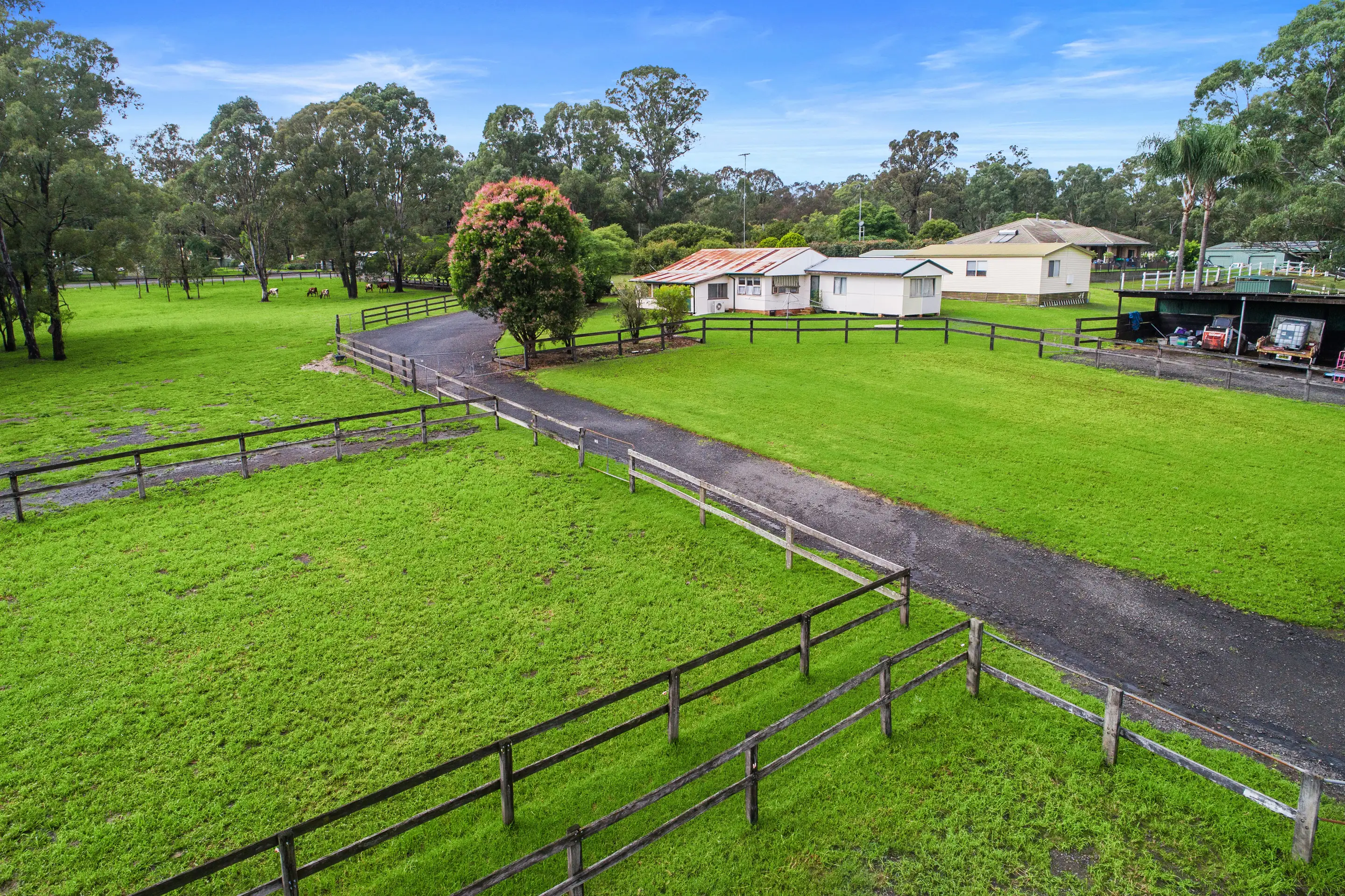 990-1002 Castlereagh Road, Castlereagh Sold by Cutcliffe Properties - image 8